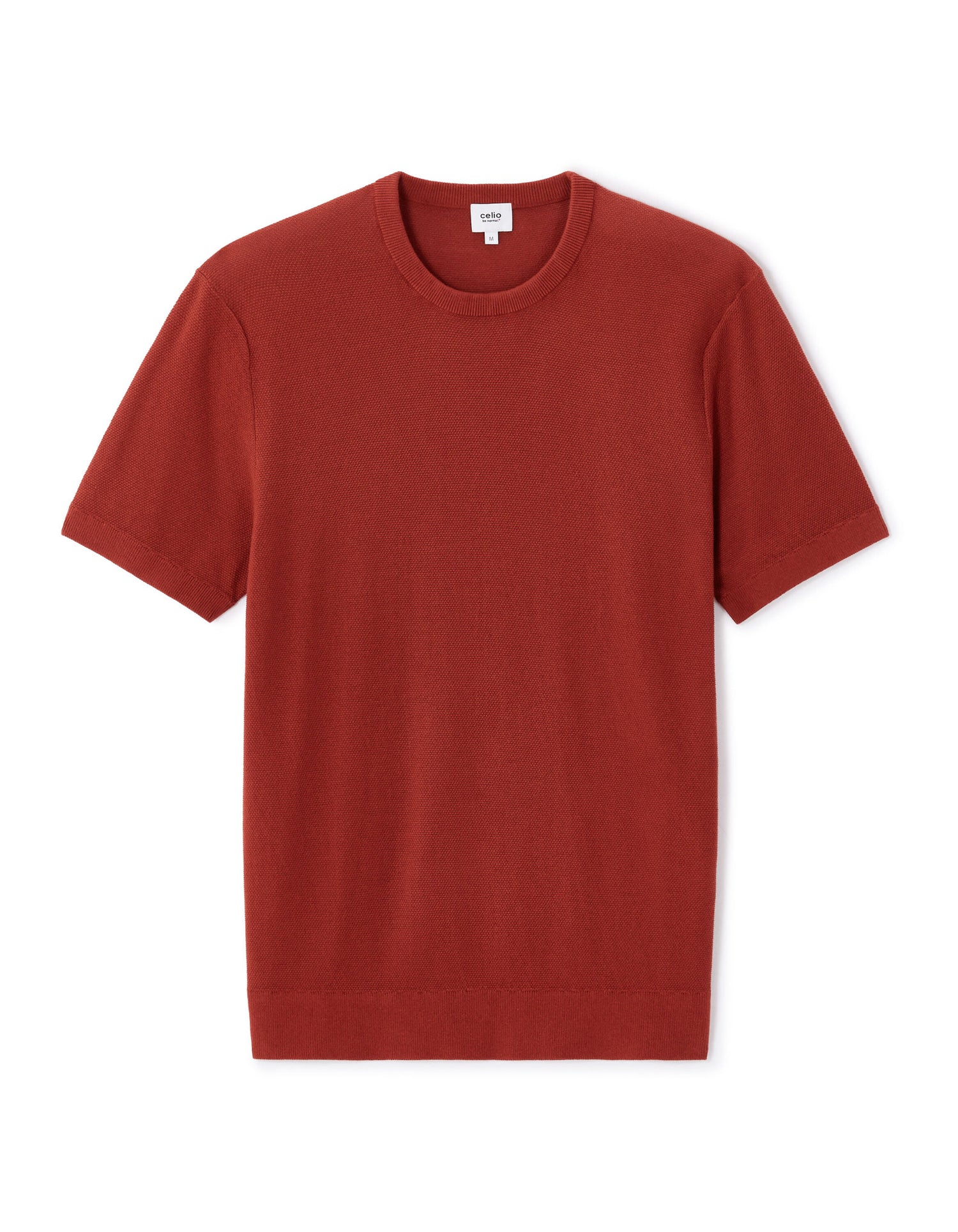 Celio_Brown Straight T-Shirt Round Neck 100% Cotton_LEPICTI_TERRA_04
