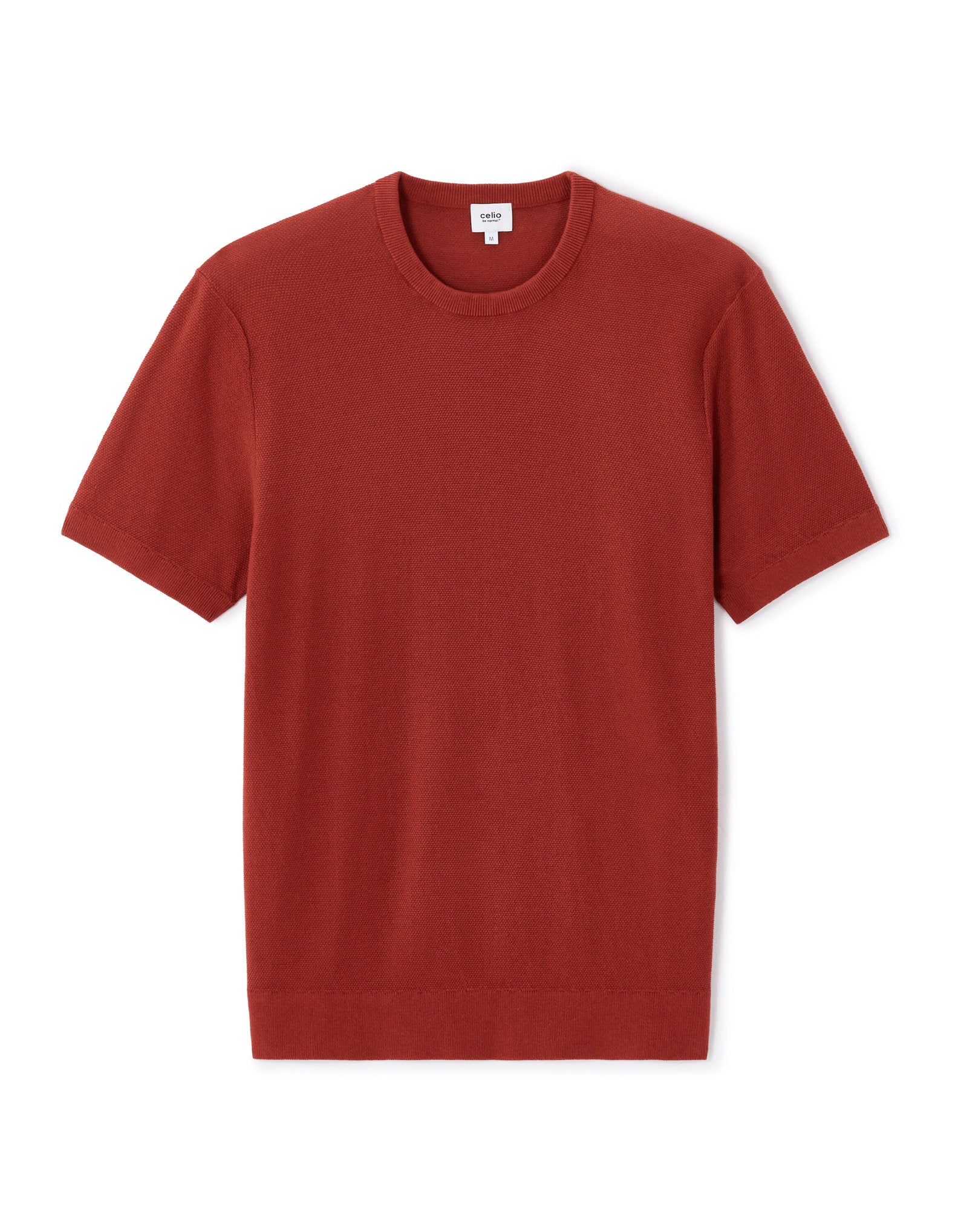 Celio_Brown Straight T-Shirt Round Neck 100% Cotton_LEPICTI_TERRA_04