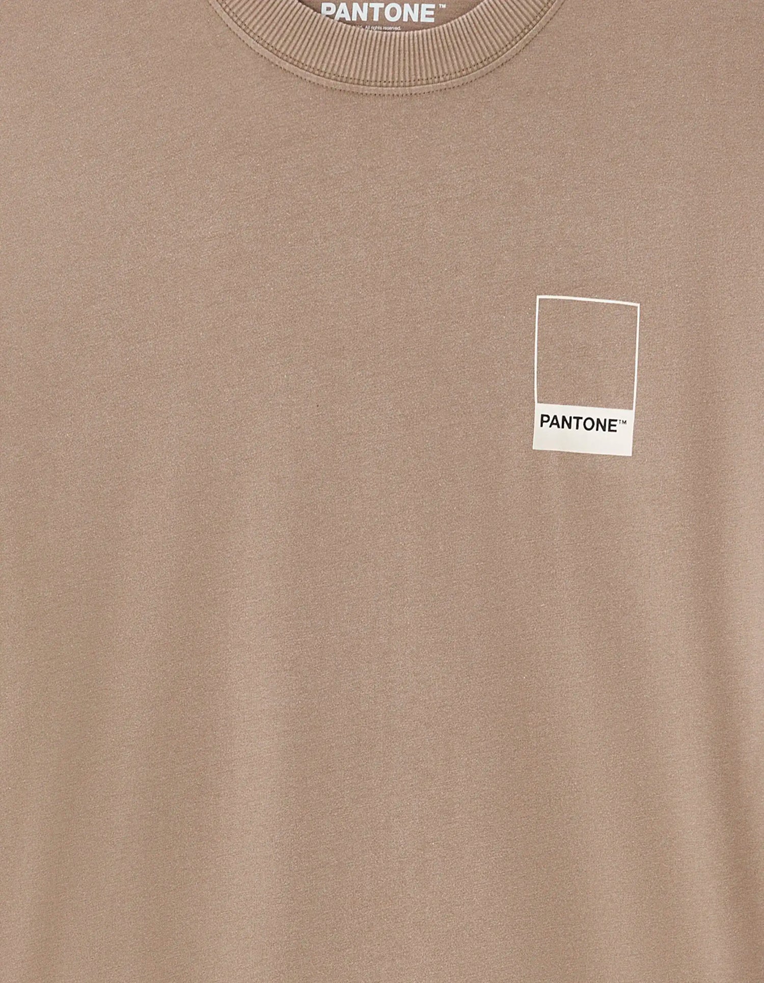 Celio_Brown_Pantone T-Shirt_LMEPAN2_BROWN_06