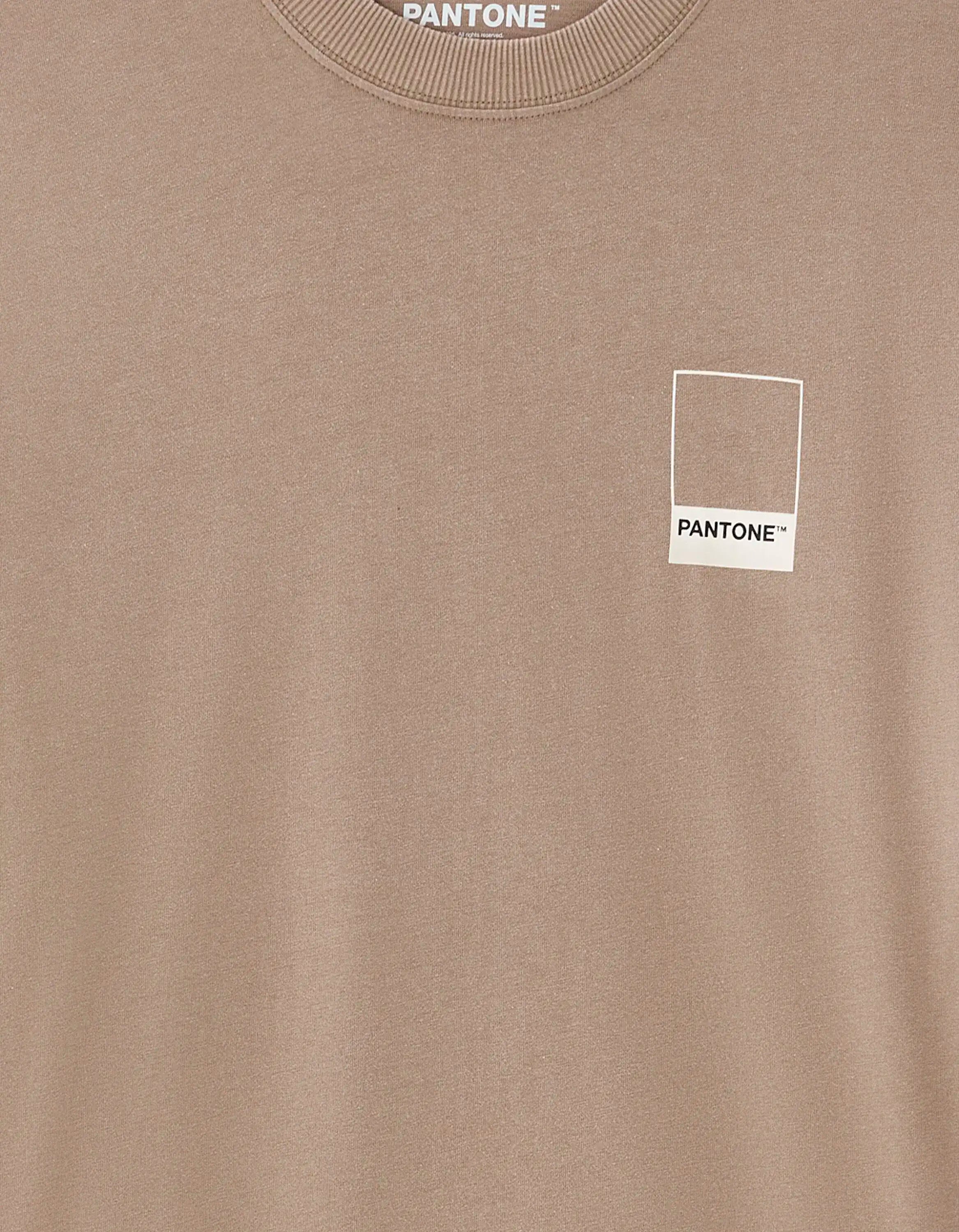 Celio_Brown_Pantone T-Shirt_LMEPAN2_BROWN_06