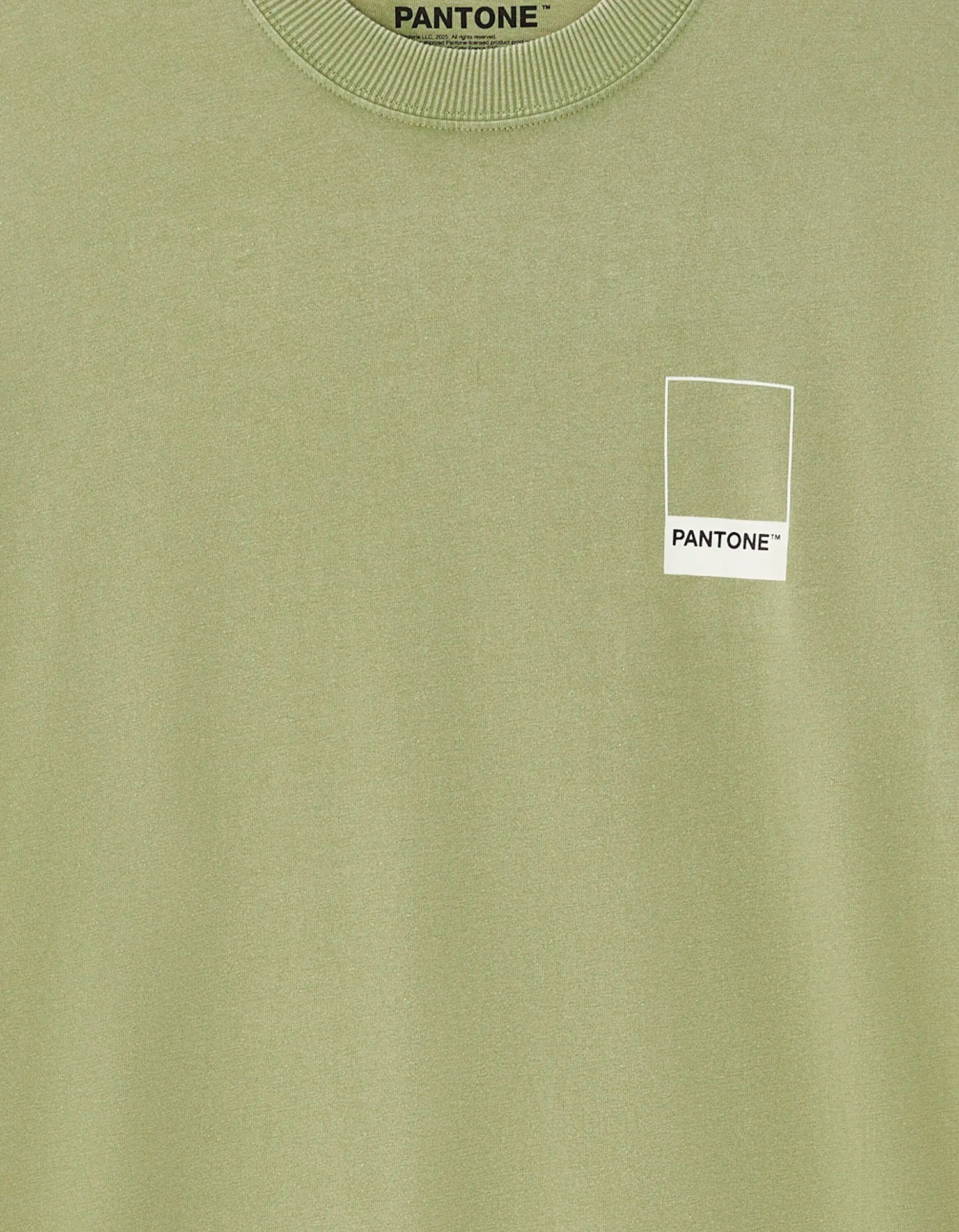 Celio_Green_Pantone T-Shirt_LMEPAN2_GREEN_04