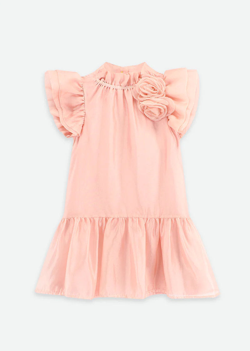 Loreen Flowers Trim Dress Blush Pink_LOREEN_Blush_01