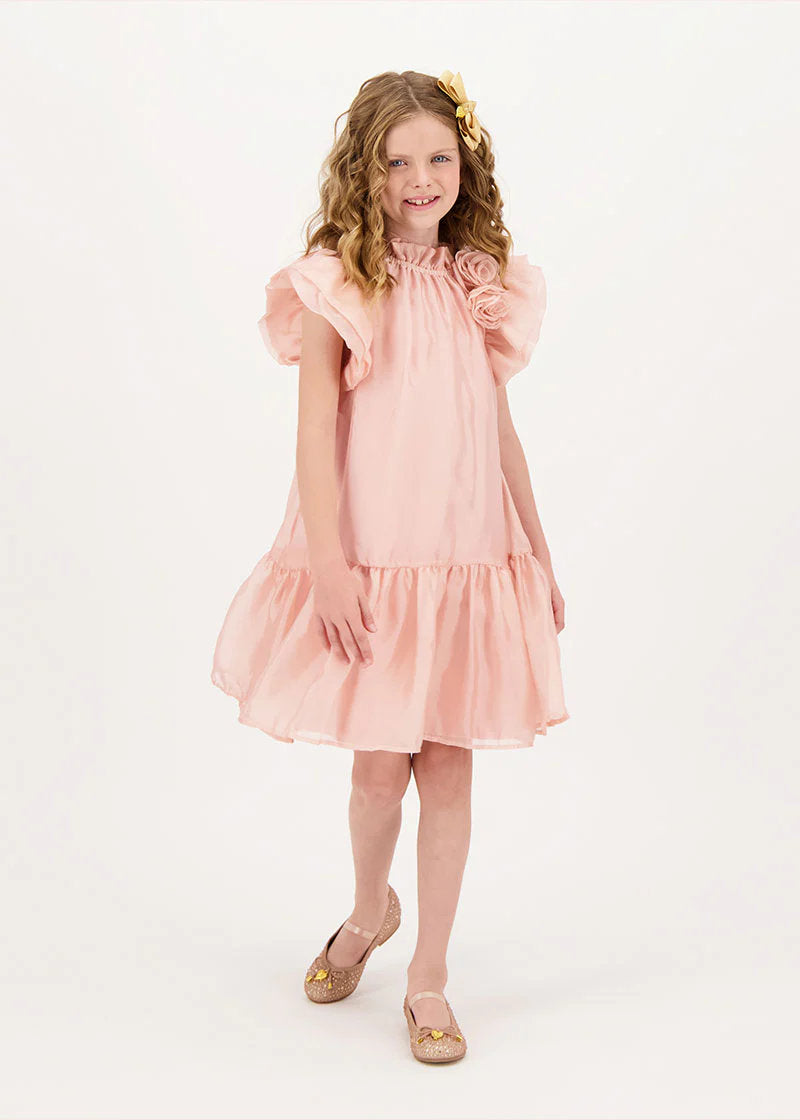 Loreen Flowers Trim Dress Blush Pink_LOREEN_Blush_02