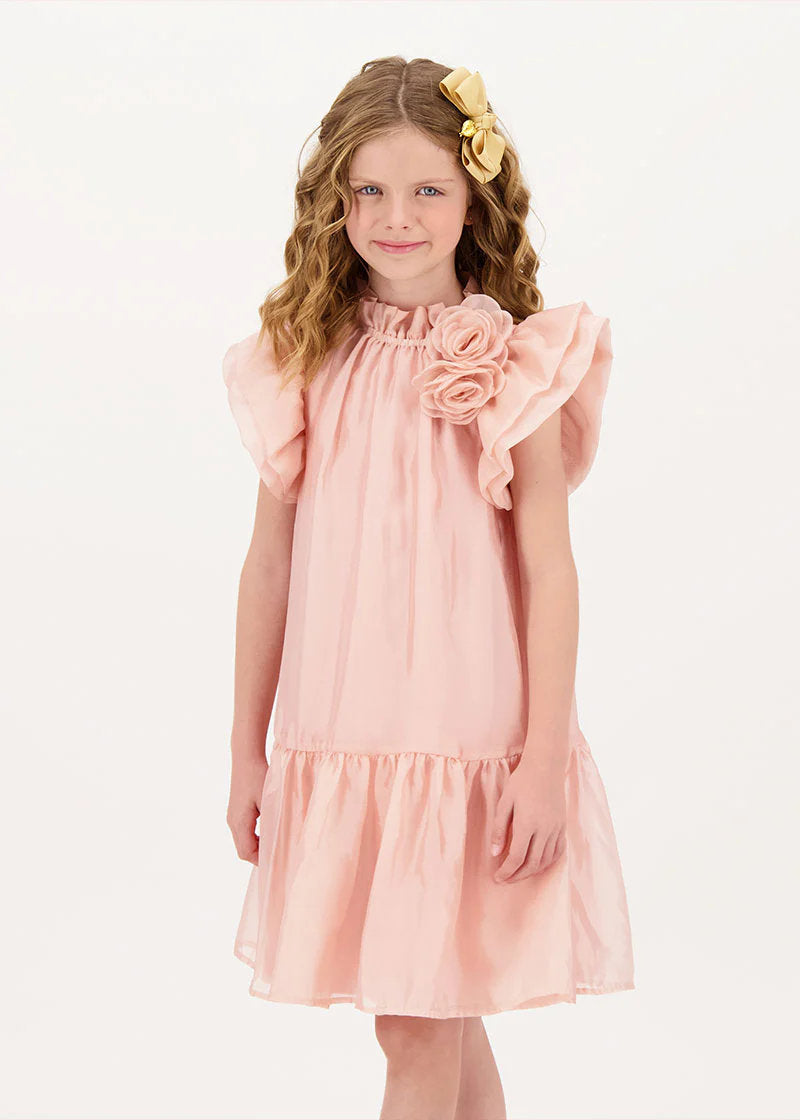 Loreen Flowers Trim Dress Blush Pink_LOREEN_Blush_03