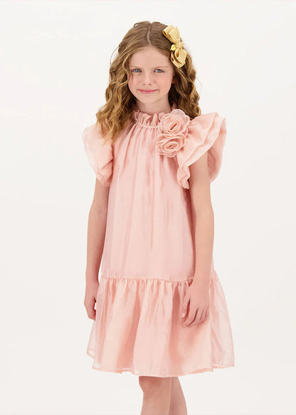 Loreen Flowers Trim Dress Blush Pink_LOREEN_Blush_03