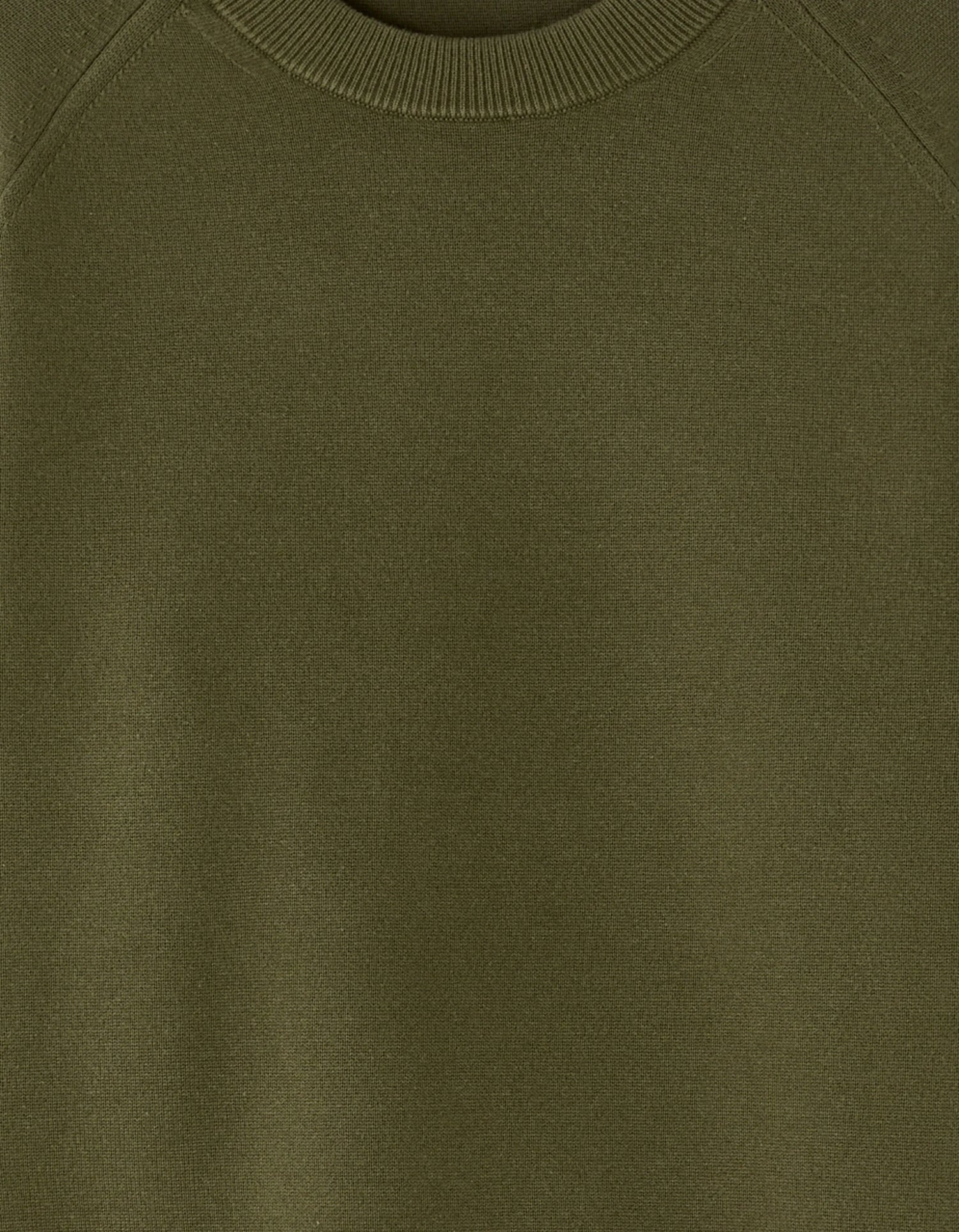 Celio_Green_Plain Cotton Blend Crew Neck Sweater - Khaki_MECLOTHILD_KAKI_05