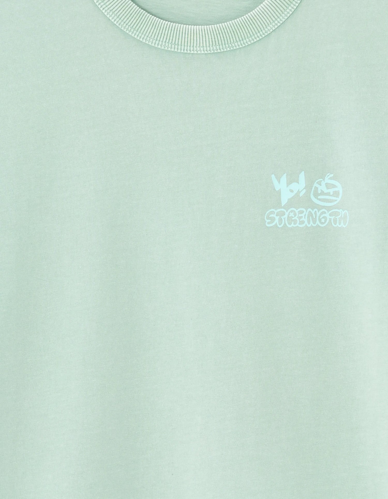 Celio_Mint_Oversized Crew Neck T-Shirt in 100% Cotton with Print_MEVACAY_MINT_05