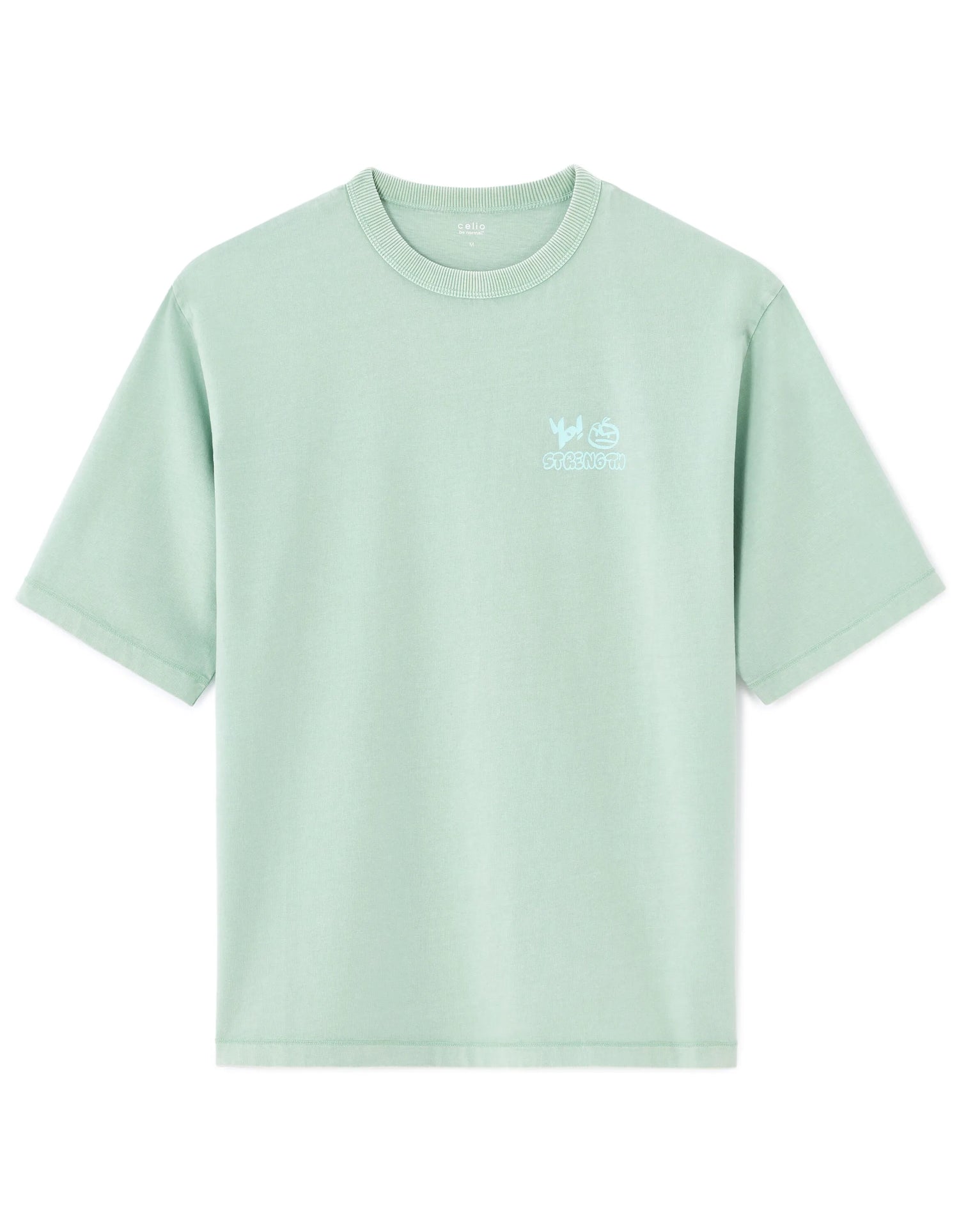 Celio_Mint_Oversized Crew Neck T-Shirt in 100% Cotton with Print_MEVACAY_MINT_07