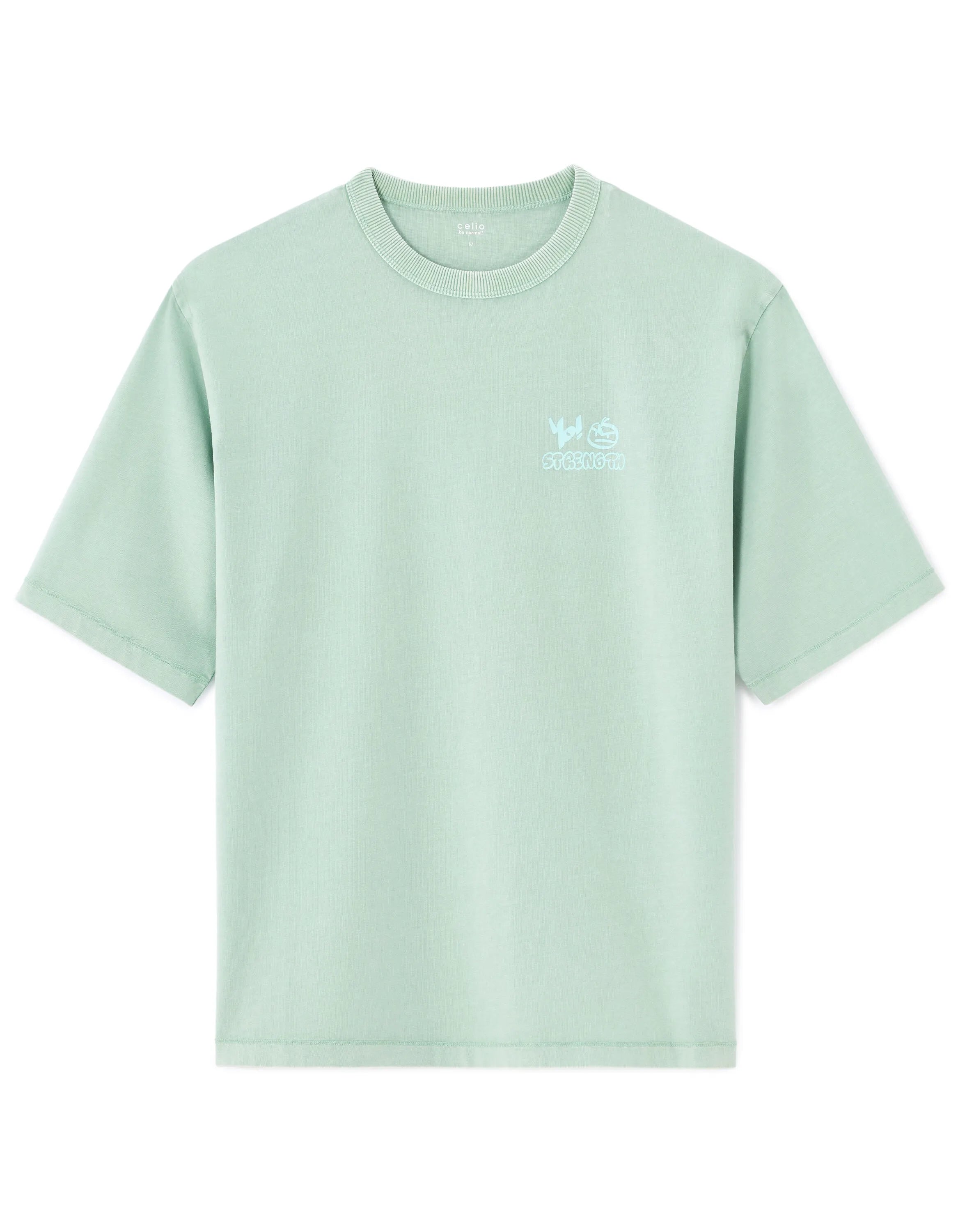 Celio_Mint_Oversized Crew Neck T-Shirt in 100% Cotton with Print_MEVACAY_MINT_07