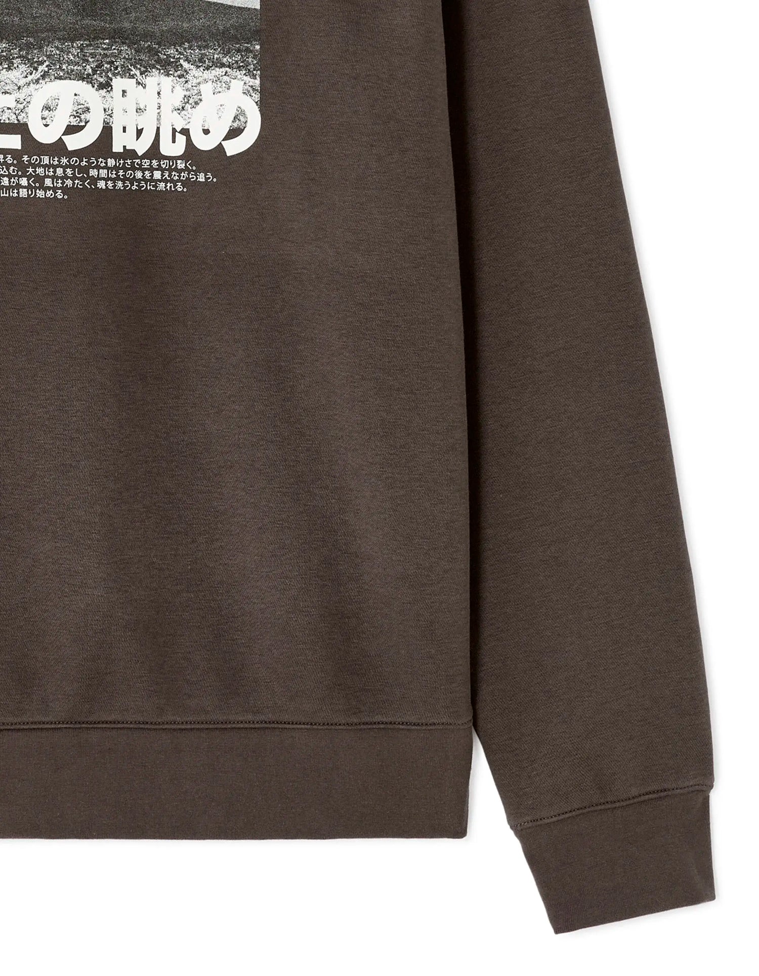 Celio_Carbone_Regular Crew Neck Sweatshirt with Asian Print_MEWIND_CARBONE_06