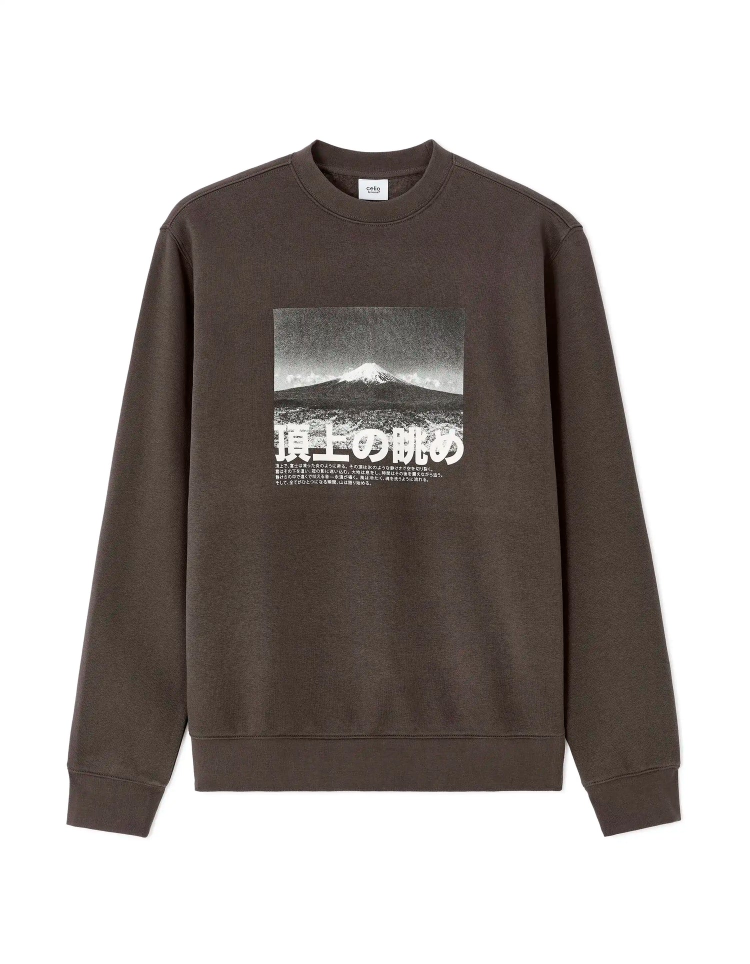 Celio_Carbone_Regular Crew Neck Sweatshirt with Asian Print_MEWIND_CARBONE_07