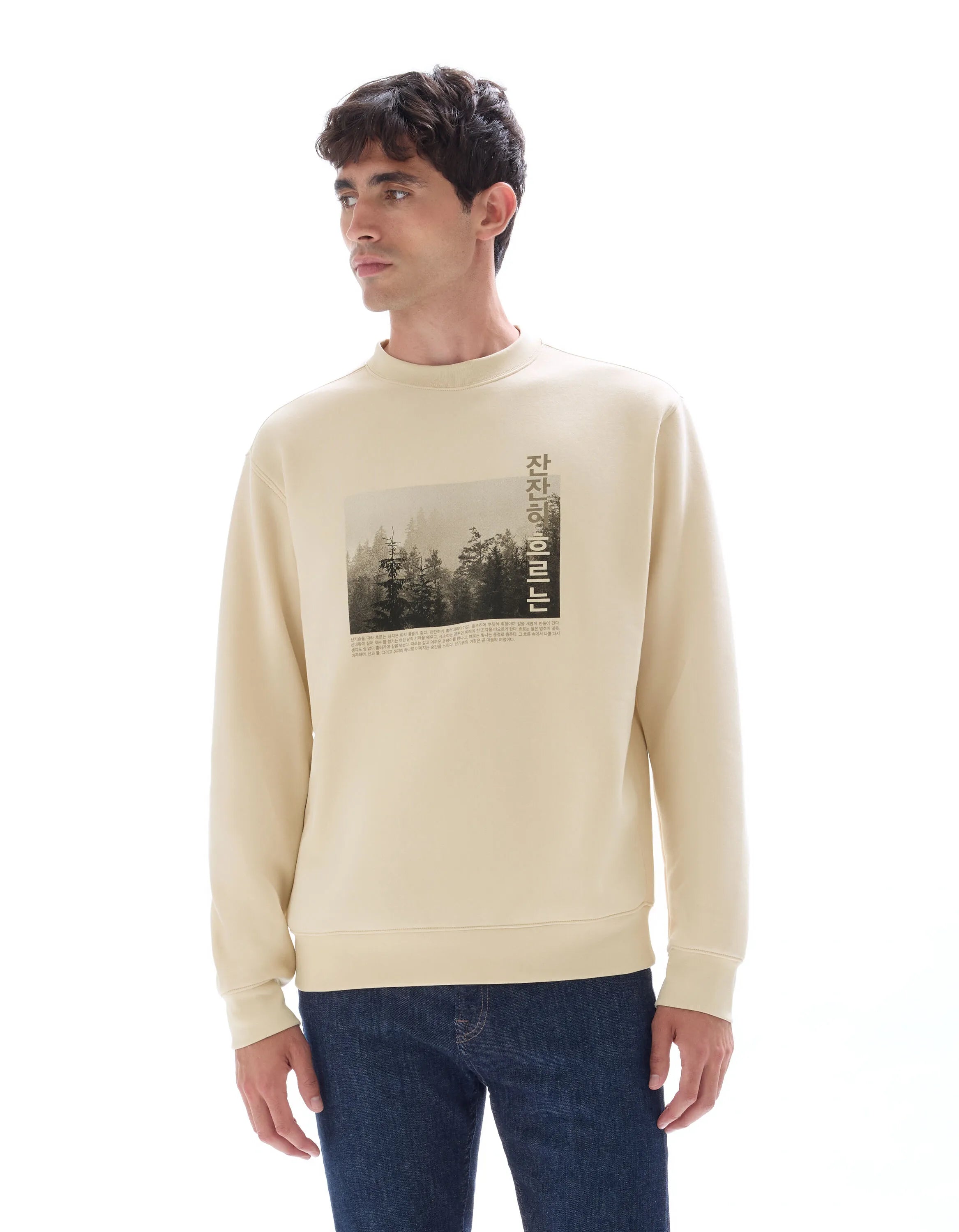 Celio_Creme_Regular Crew Neck Sweatshirt with Asian Print_MEWIND_CREME_02