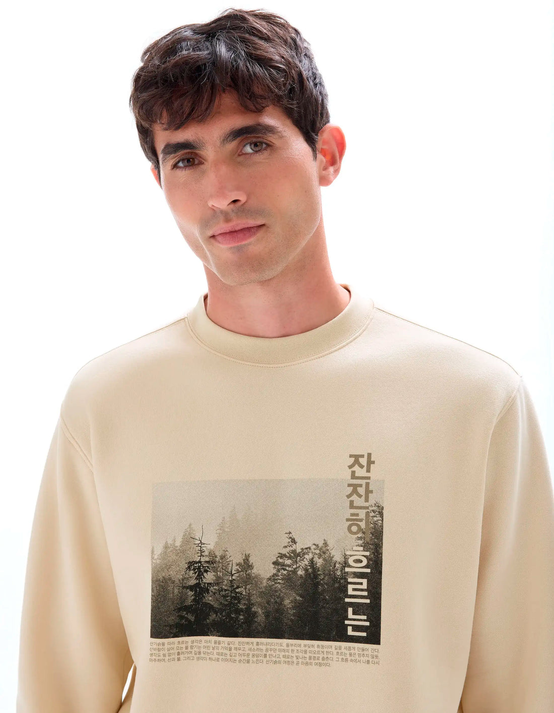 Celio_Creme_Regular Crew Neck Sweatshirt with Asian Print_MEWIND_CREME_04