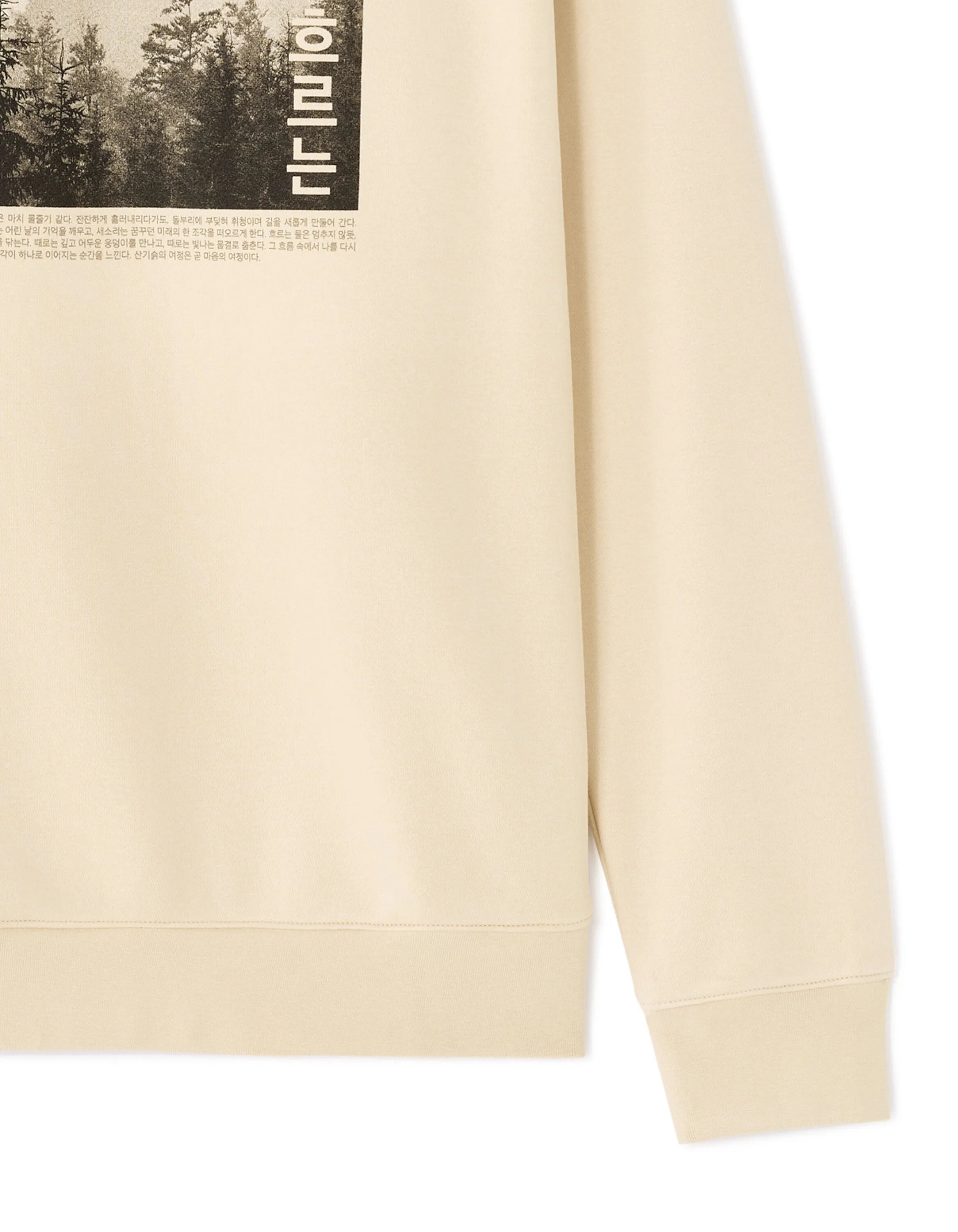 Celio_Creme_Regular Crew Neck Sweatshirt with Asian Print_MEWIND_CREME_06
