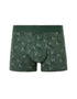 Celio_Green_Ginkgo Leaf Patterned Boxer Shorts_MIBOGINKO_GREEN_01
