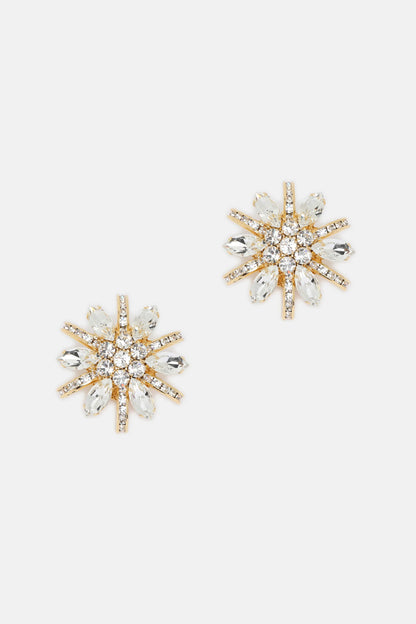 Luisa Spagnoli Nickel/Oro Women Neurina - Stud Earrings SKU: NEURINA_0001 0002 Image 01