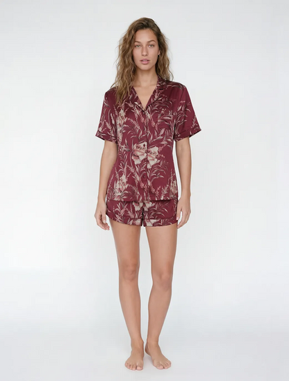Marie France Multicolor Women Aria Chemise SKU: PYARIACHEMISE_Multicolor Image 03