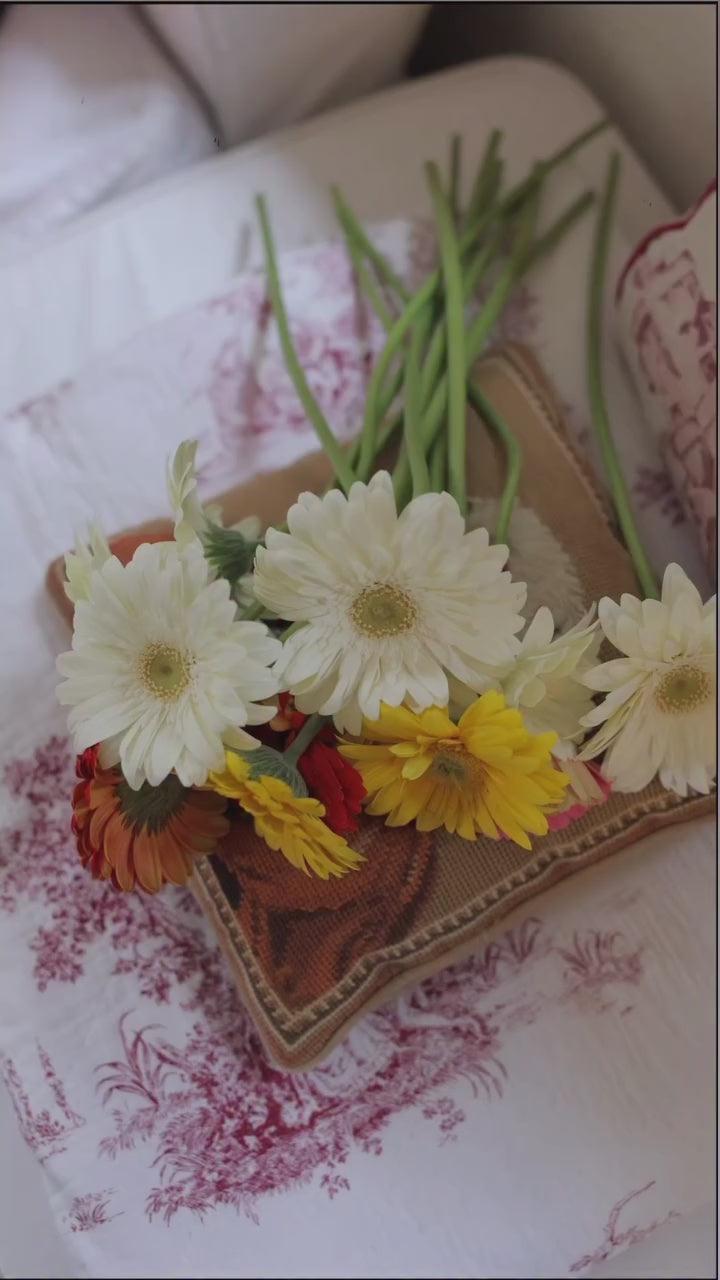 Brazilian Briefs - Milli