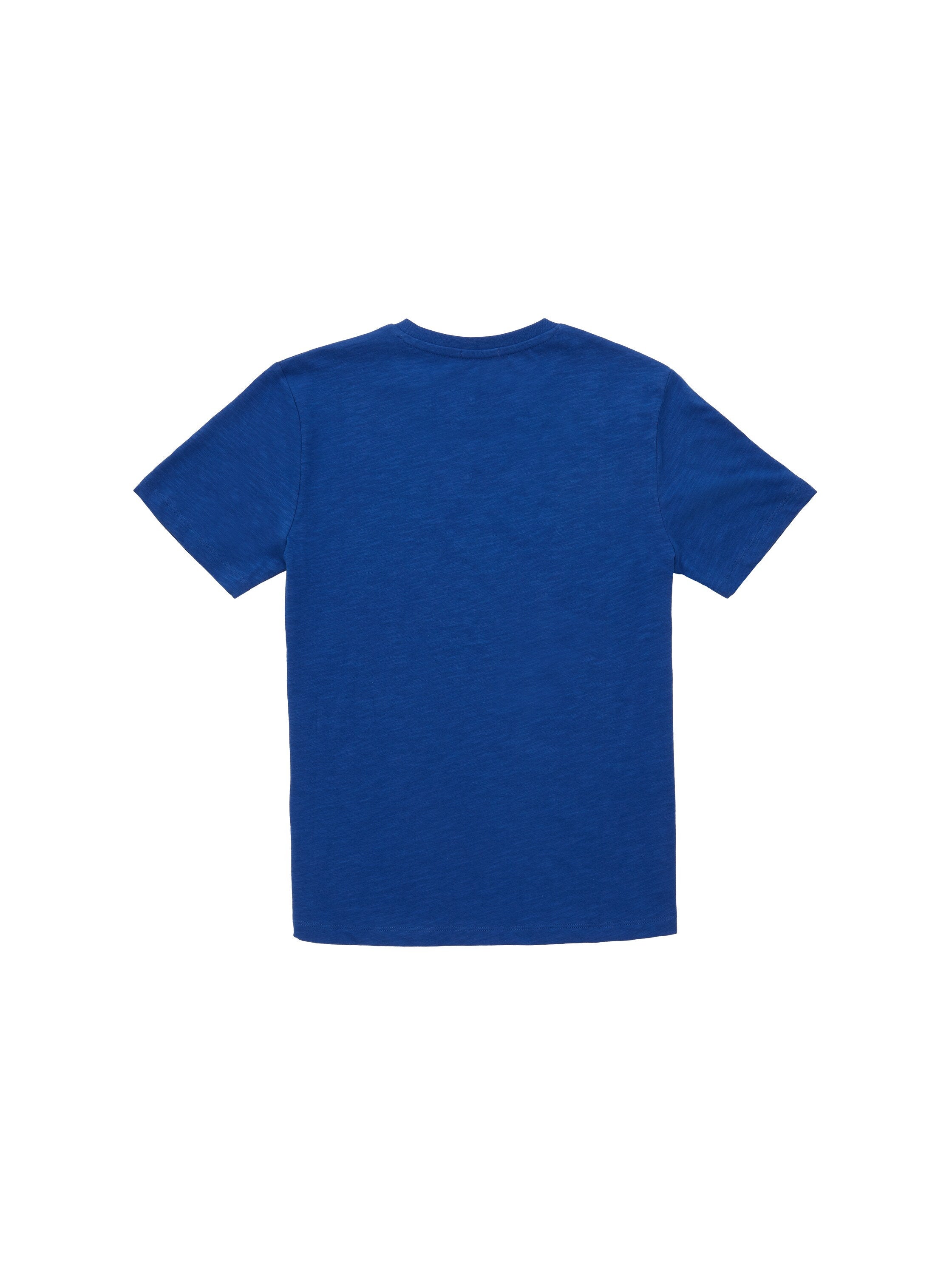 Regular Printed Slub T-Shirt_1037515_14531_02