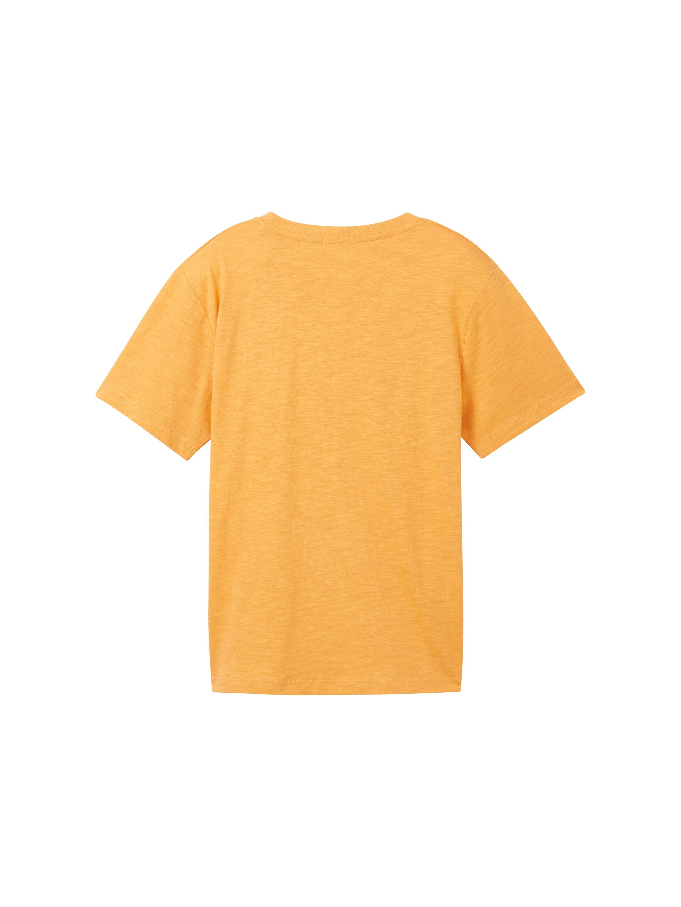 Regular Printed Slub T-Shirt_1037515_32258_02
