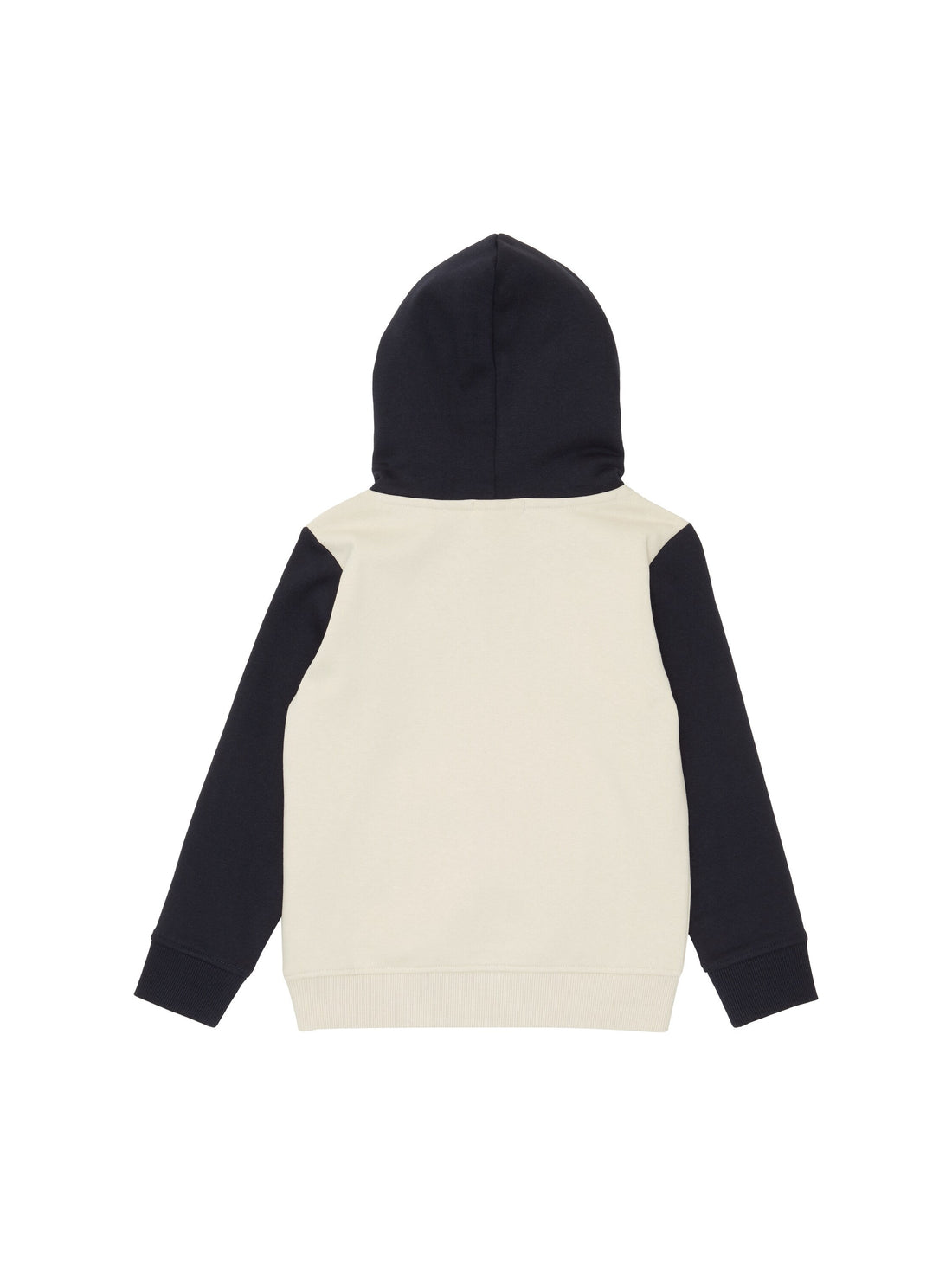 Colorblock Hooded Sweatshirt_1037577_10668_02