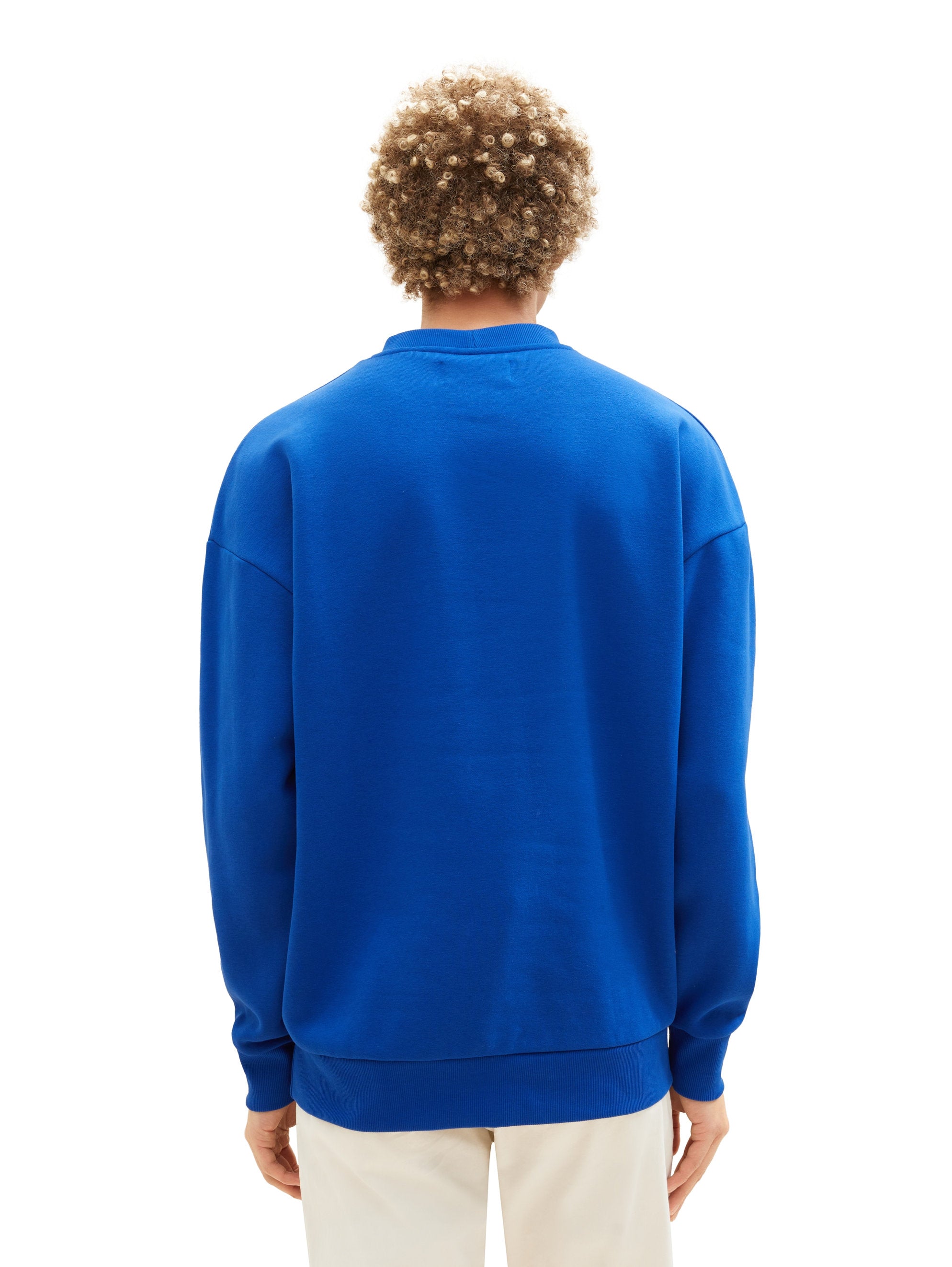 Relaxed Crew Neck Sweater_1037606_14531_04