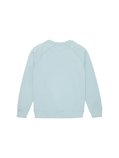 Oversized Raglan Sweatshirt_1037608_30463_02