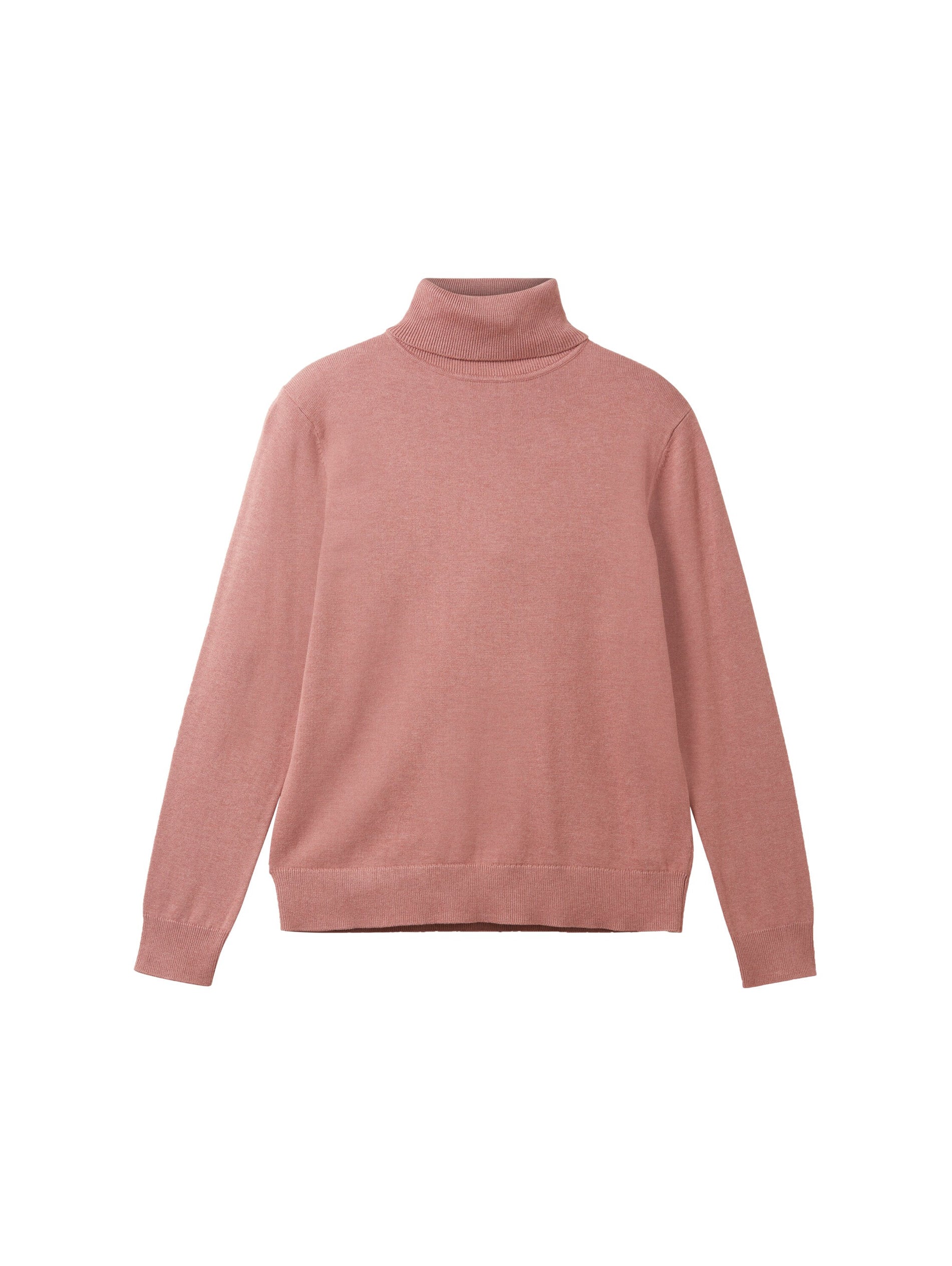 Knit Basic Turtleneck_1037746_33157_01