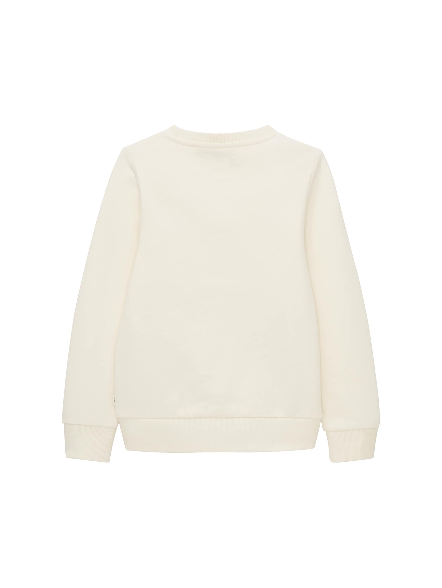 Printed Sweatshirt_1037941_10330_02