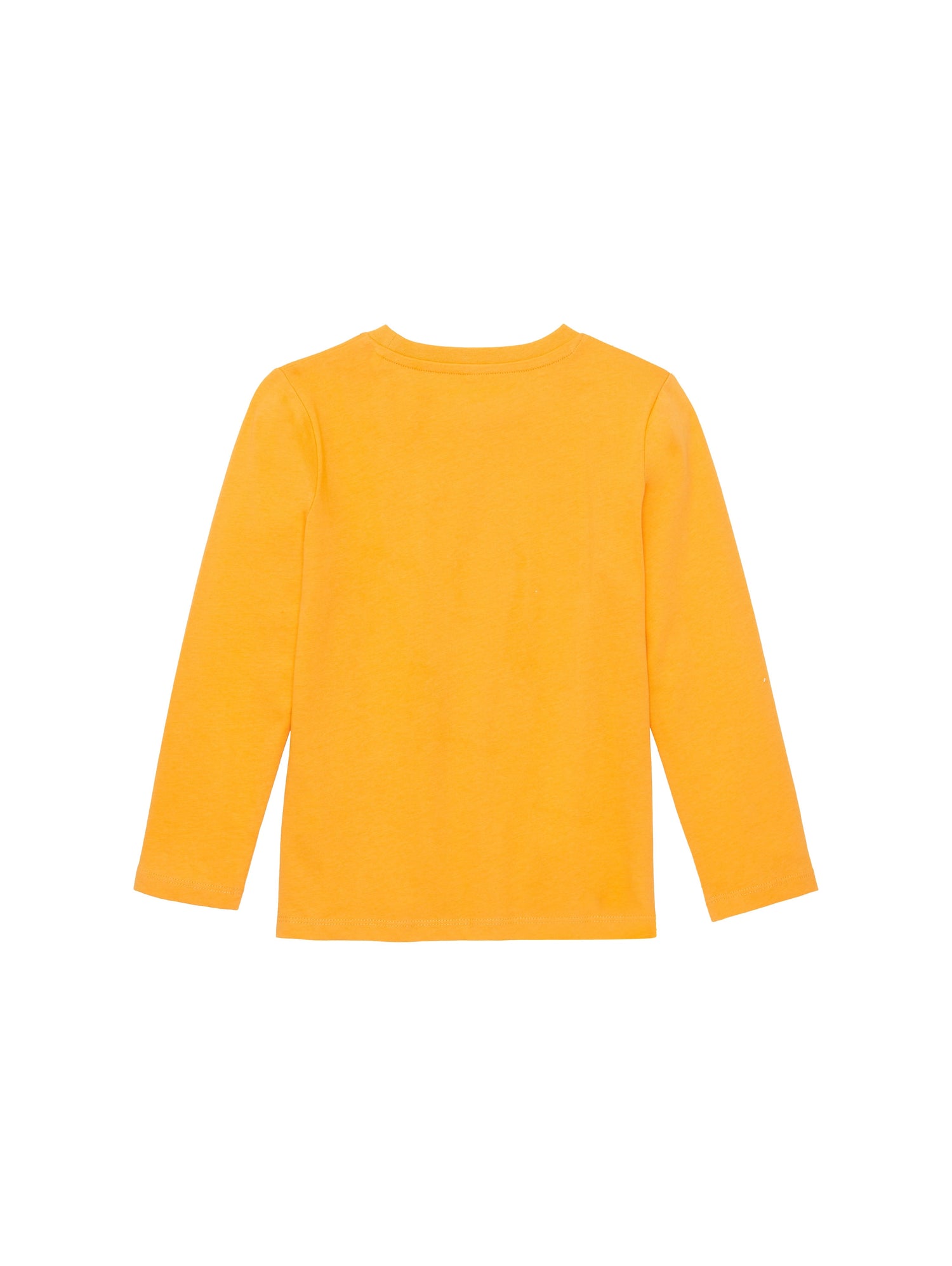 Printed Longsleeve T-Shirt_1037974_32258_02