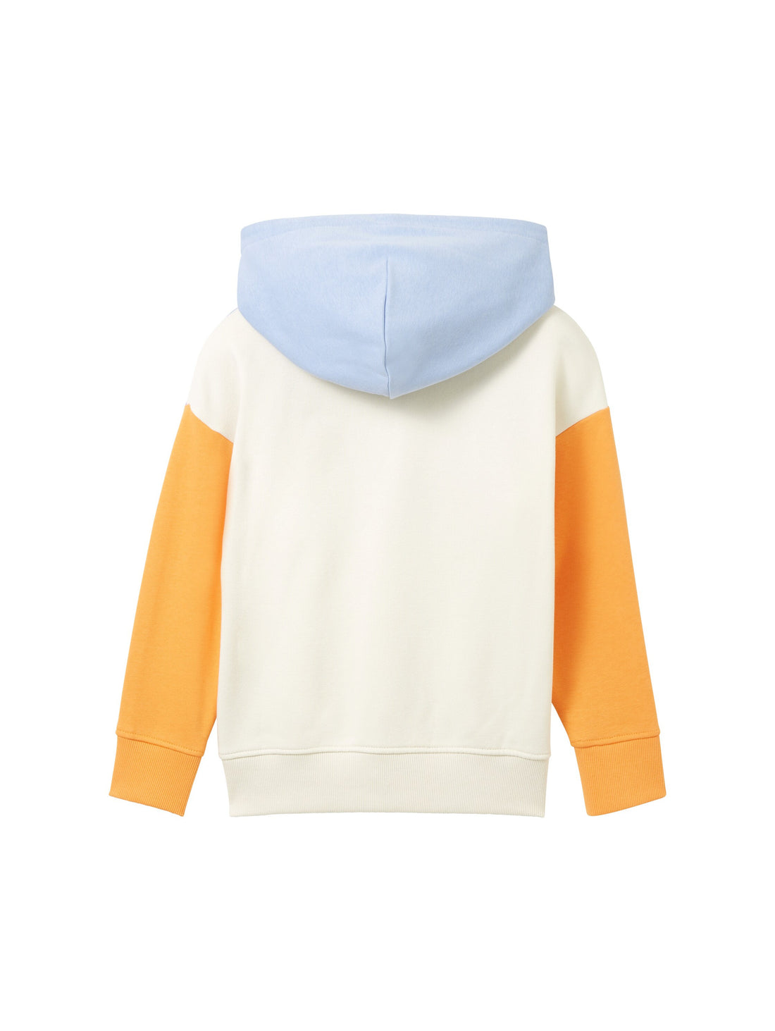 Colorblock Oversized Hoody_1038303_12819_02