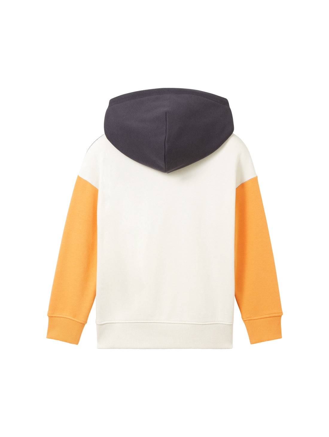 Colorblock Oversized Hoody_1038303_29476_02