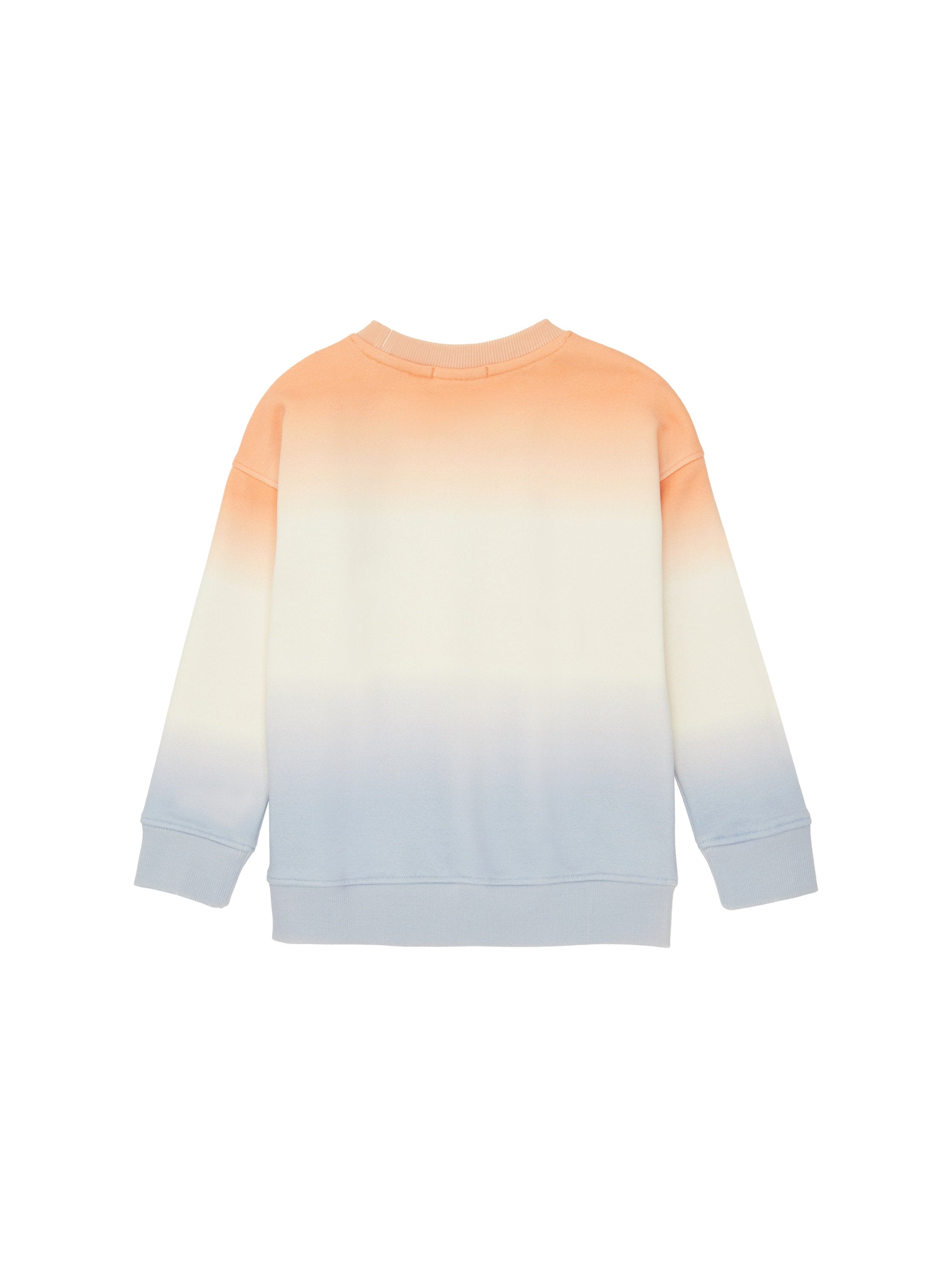Printed Sweatshirt_1038449_32589_02