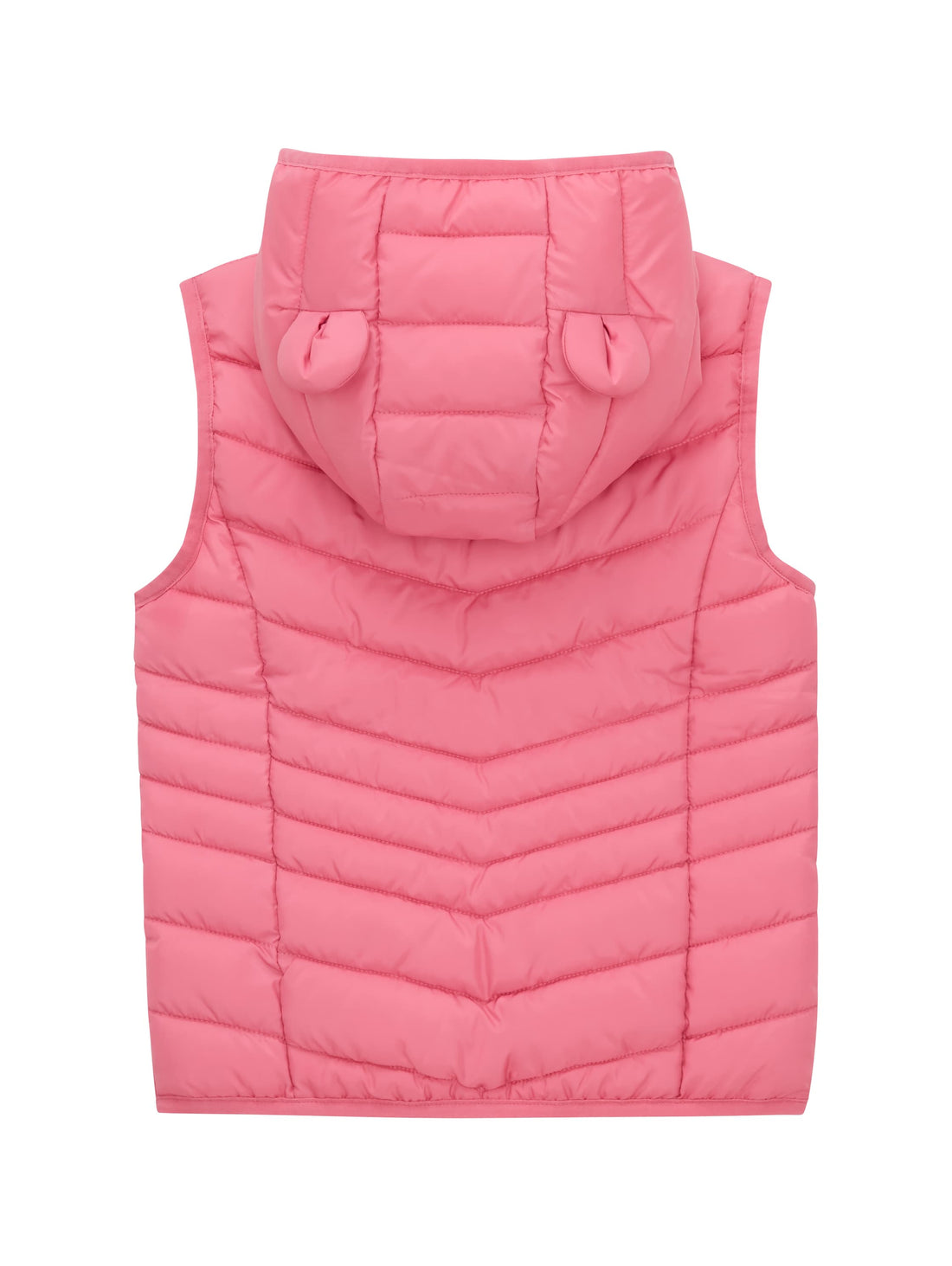 Light Weight Puffer Vest With Hood_1038497_15799_02