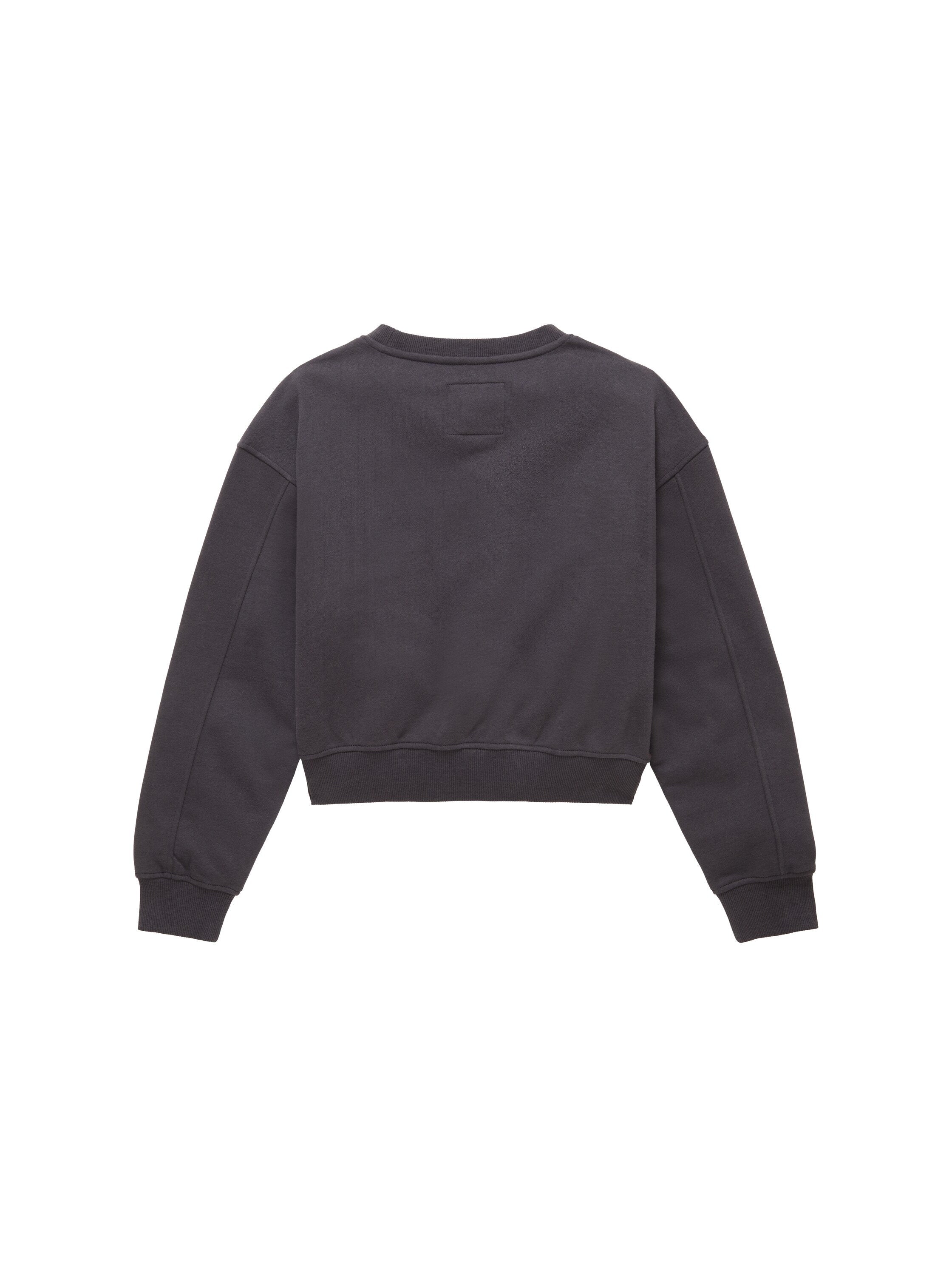 Cropped Sweatshirt_1038955_29476_02