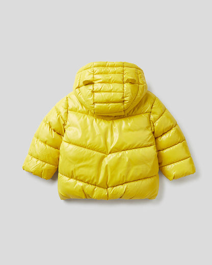 Yellow Jacket