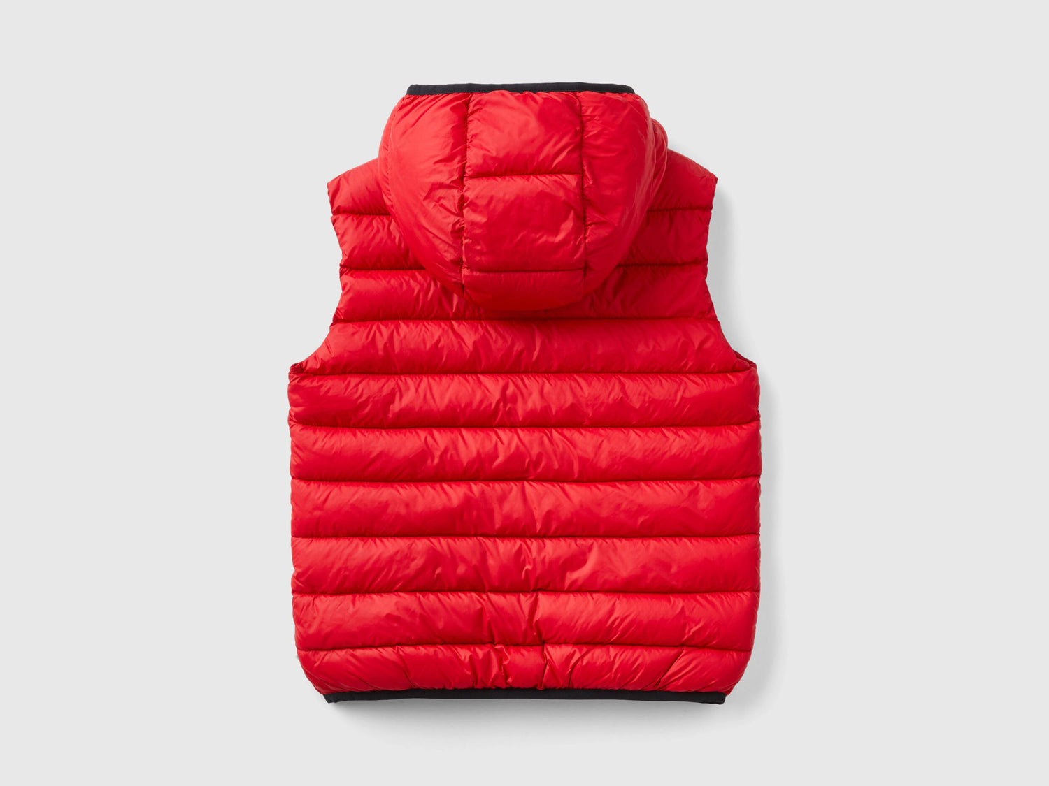 Padded Jacket With Hood