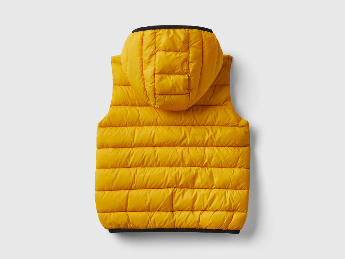 Padded Jacket With Hood