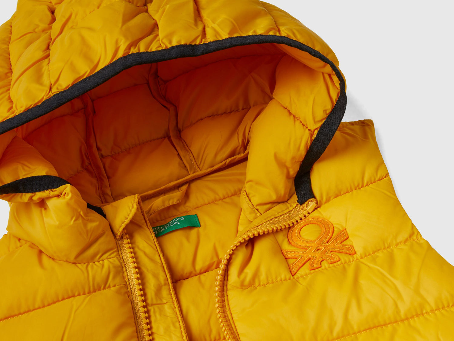 Padded Jacket With Hood