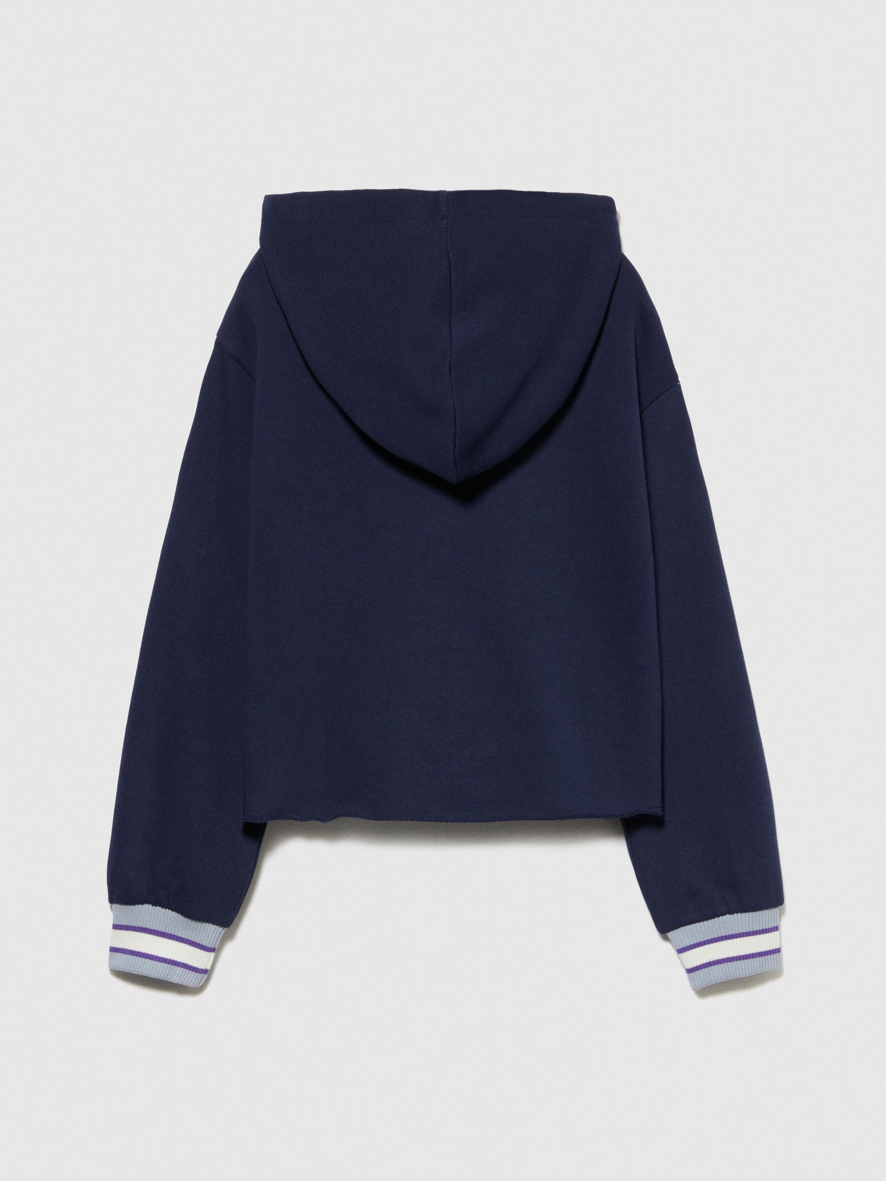 Cropped Hoodie With Embroidery_3J68X500P_252_02