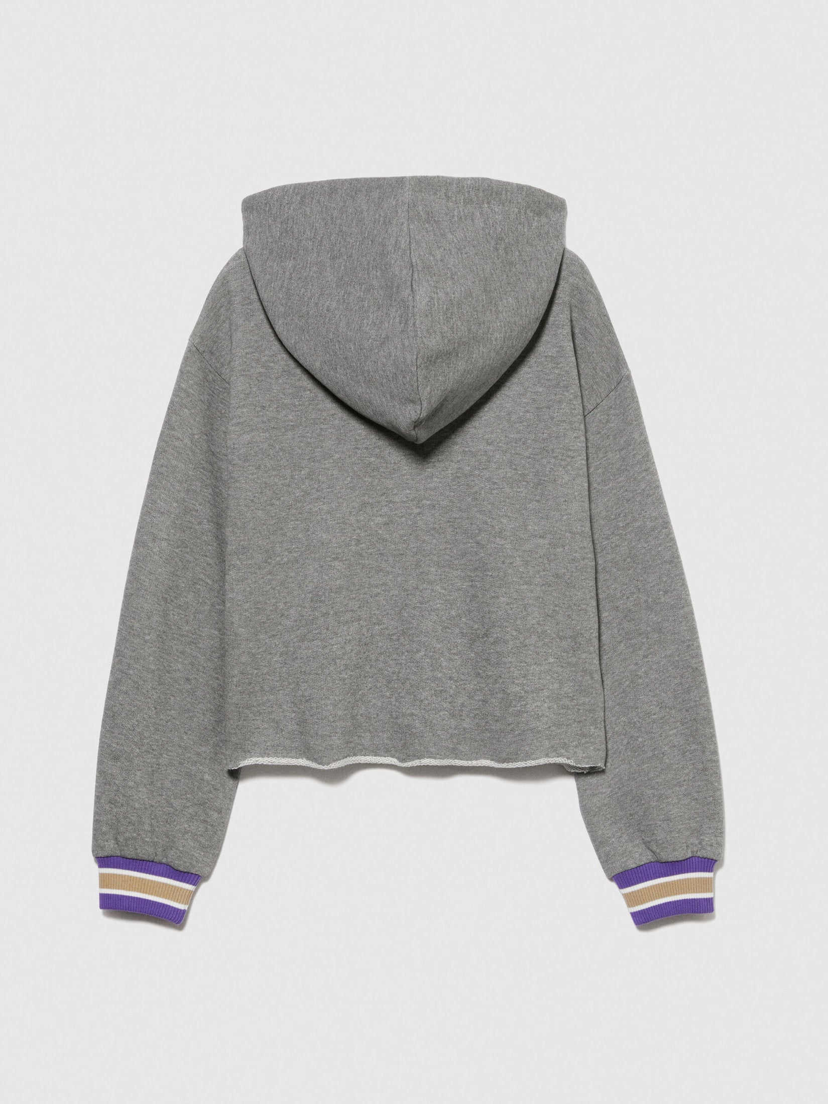 Cropped Hoodie With Embroidery_3J68X500P_507_02