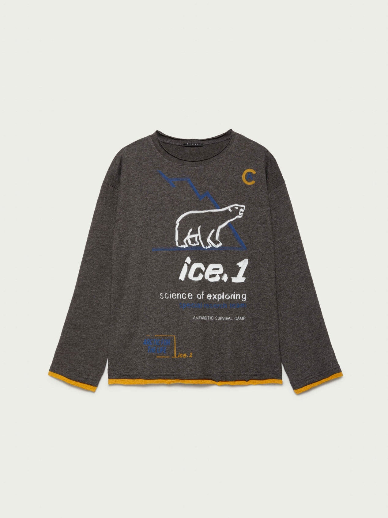 Dark Grey T-Shirt L/S Sisley