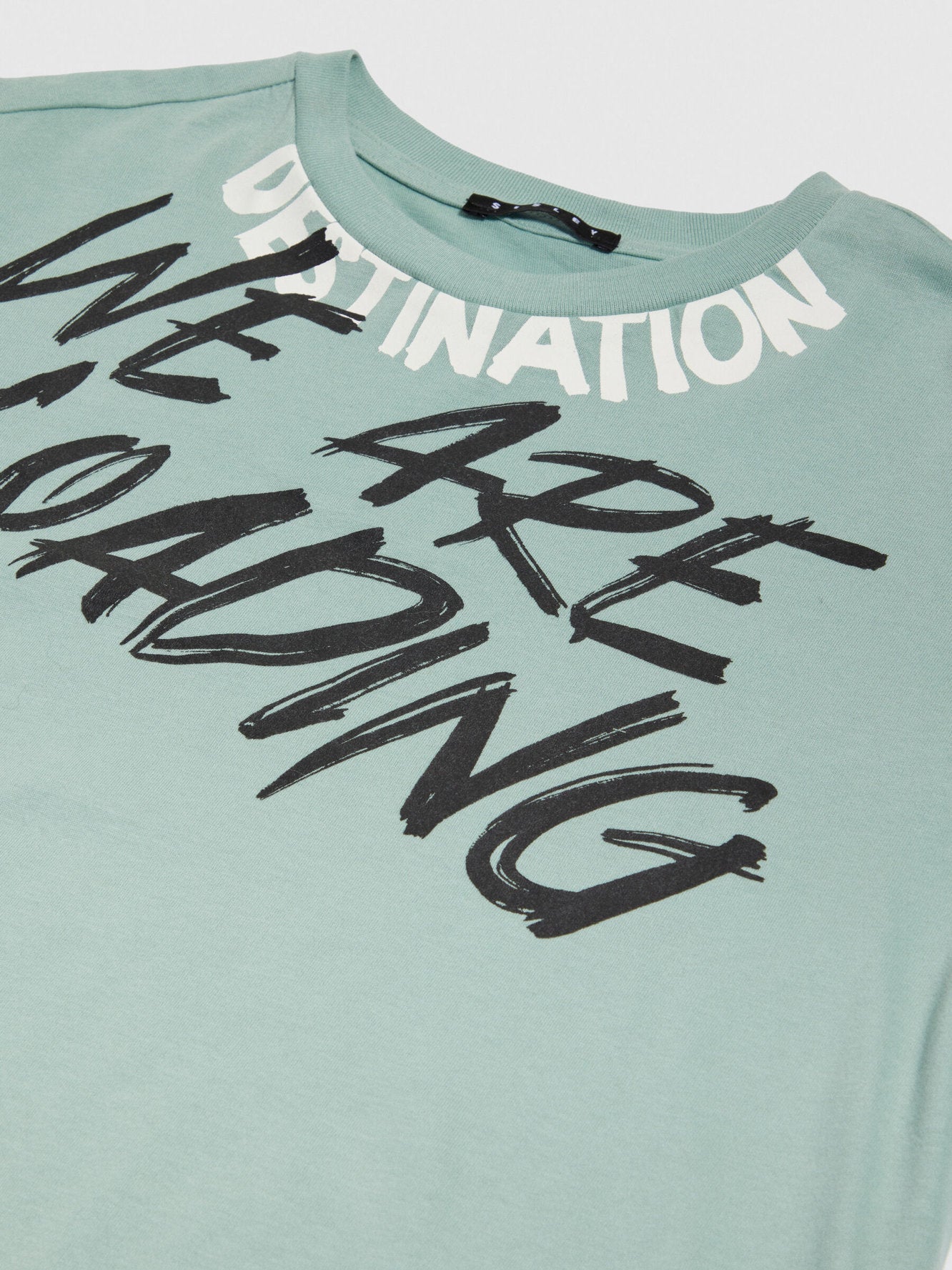 Oversized T-Shirt With Print_3VR5X103Q_18E_02