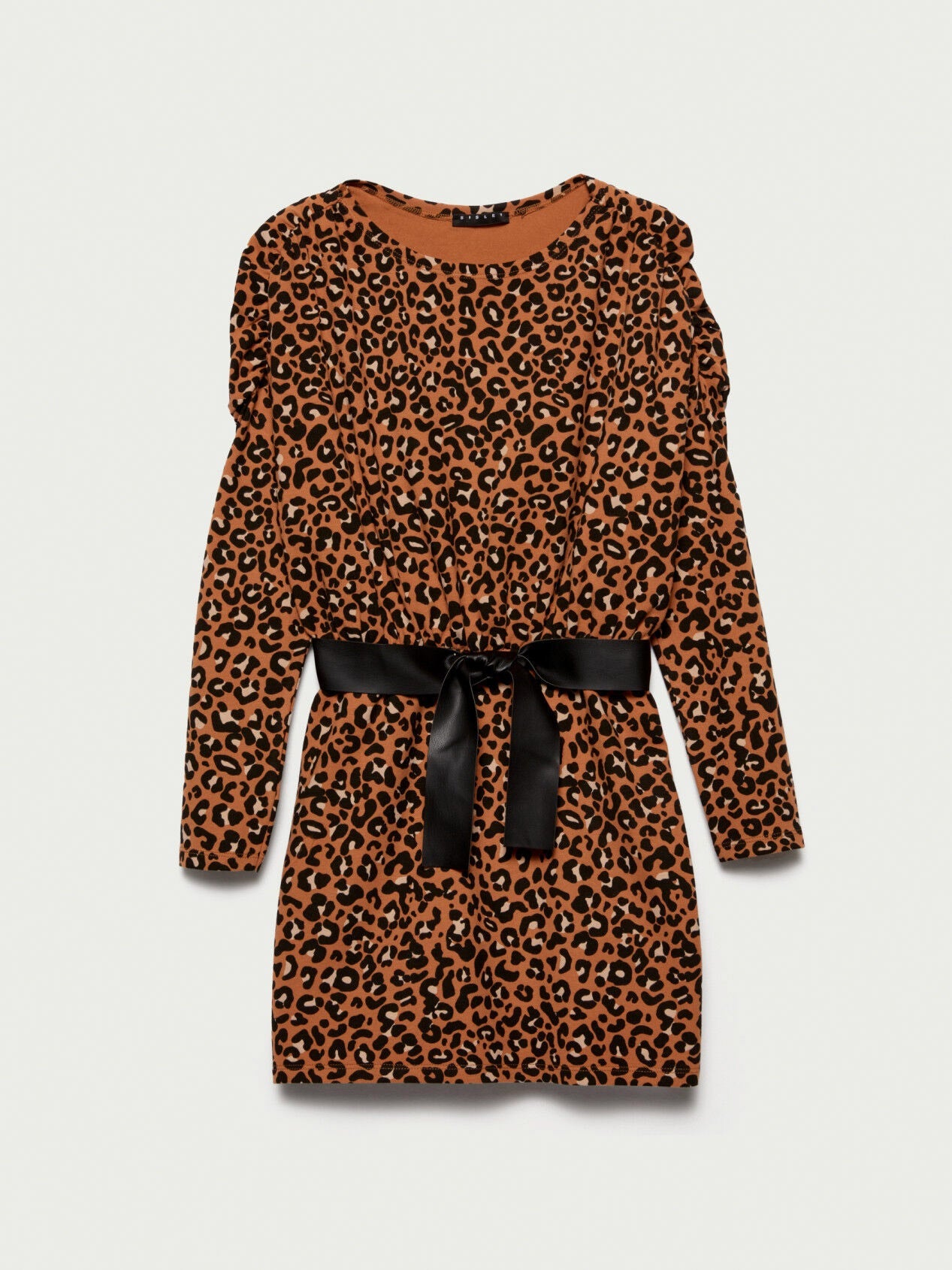 Brown Dress Sisley