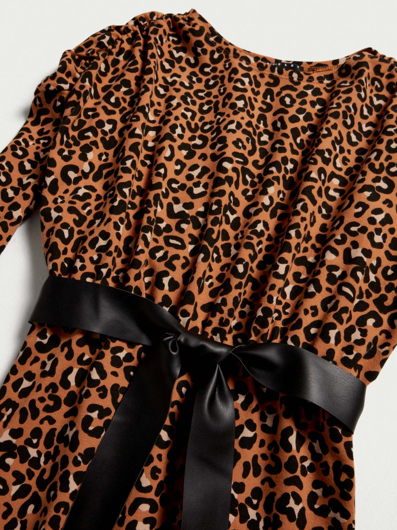 Brown Dress Sisley