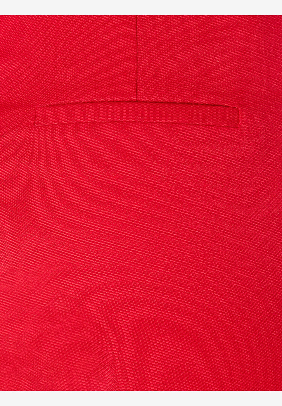Red Suit Trousers With A Fine Structure_41824568_0537_05