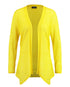 Yellow Jacket Taifun