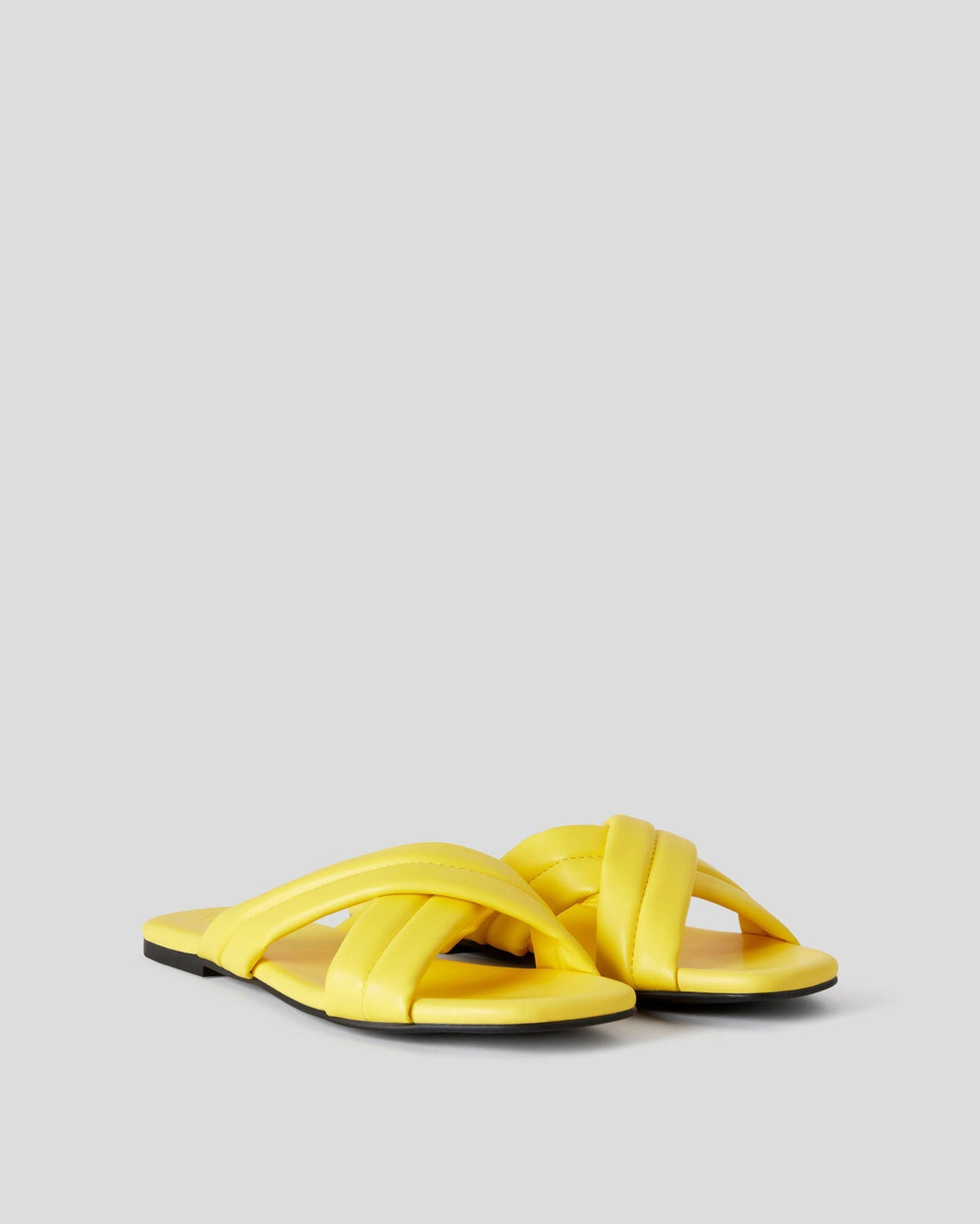 Yellow Slipper