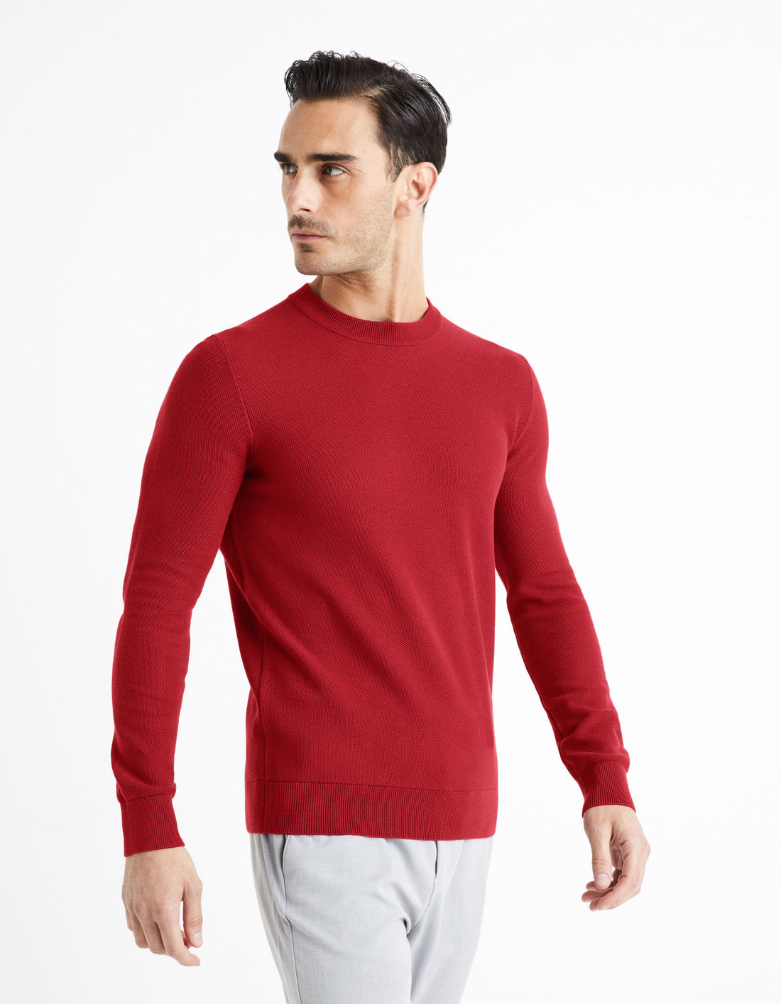 100% Cotton Round Neck Sweater - Burgundy_BEPIC_BURGUNDY_01
