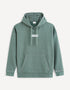 Cotton Blend Hoodie_FESTITCHO_LICHEN GREEN_01